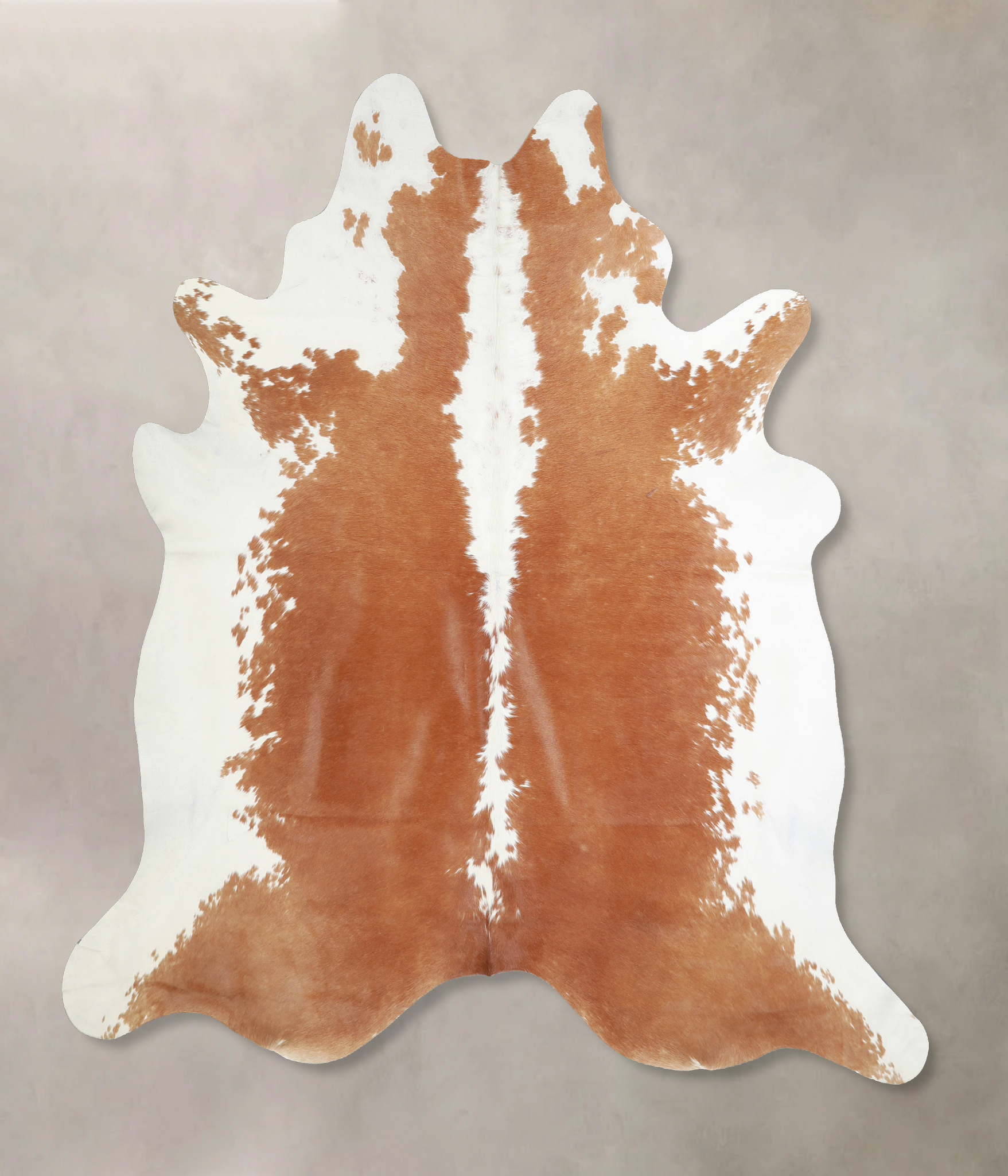 Brown and White Regular Cowhide Rug #A33943