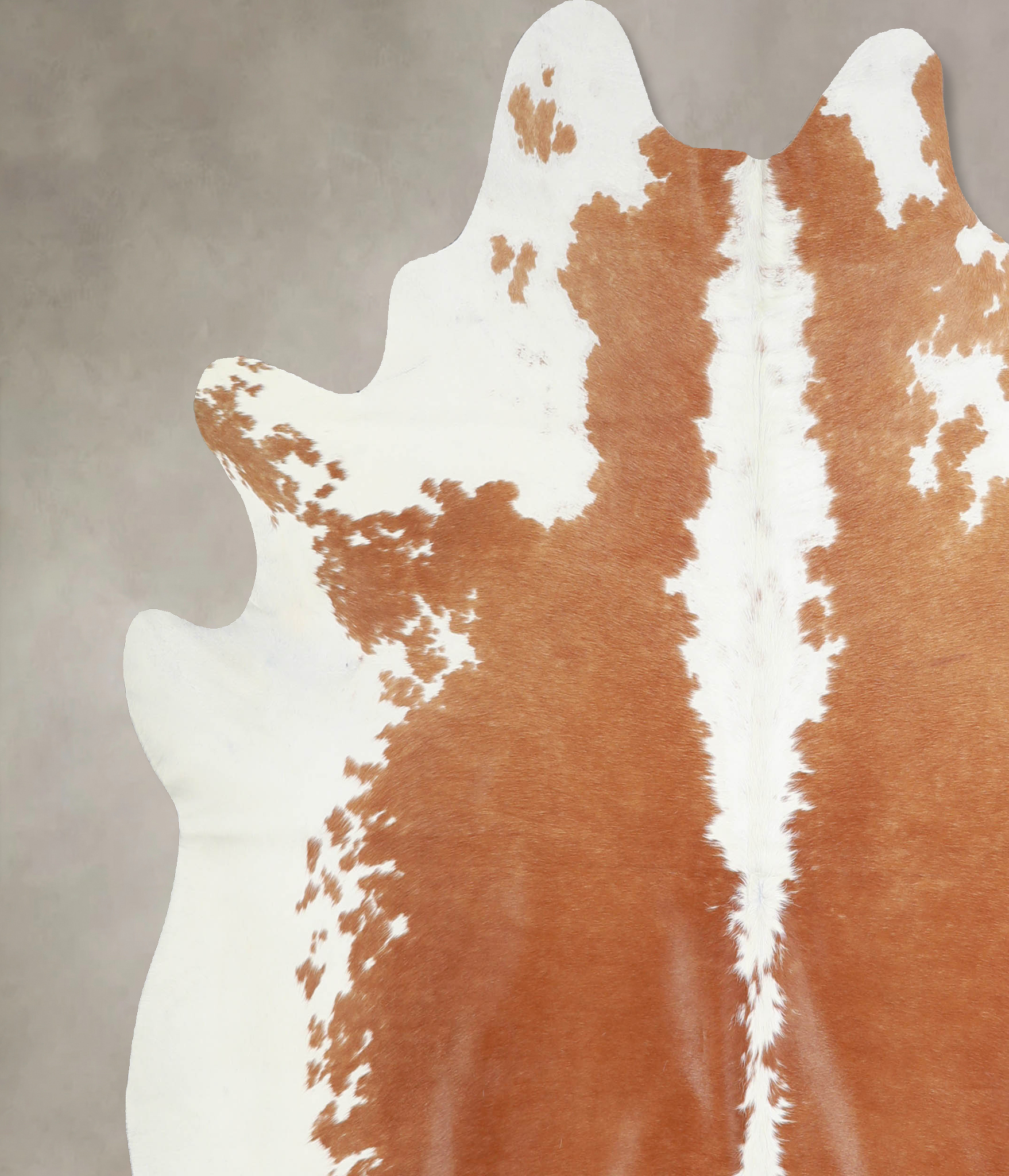 Brown and White Regular Cowhide Rug #A33943