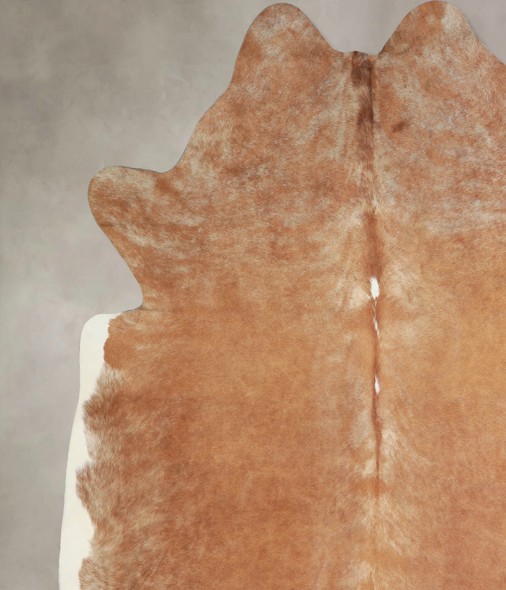 Brown and White Regular Cowhide Rug #A33982