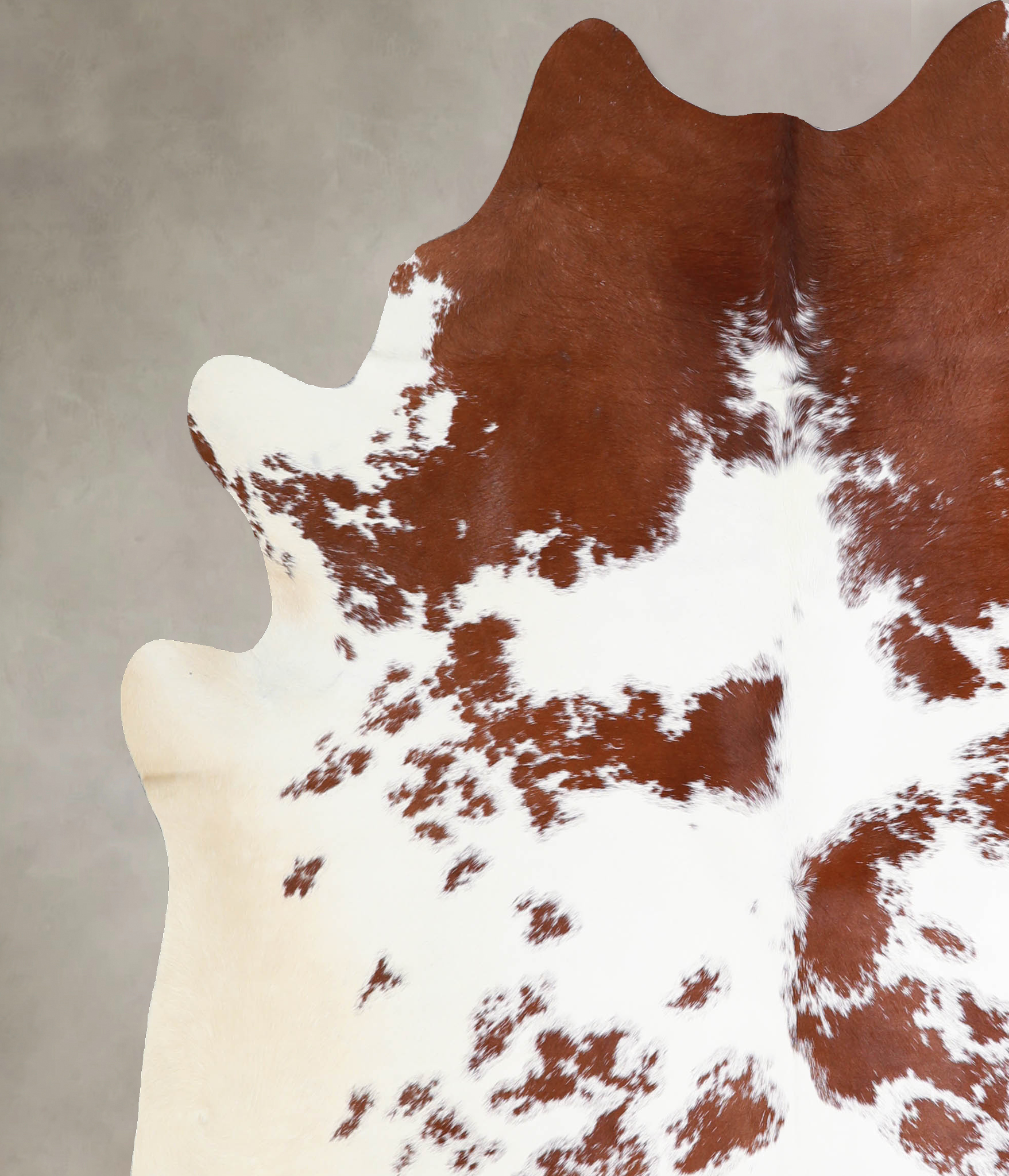 Brown and White Cowhide Rug #A33998