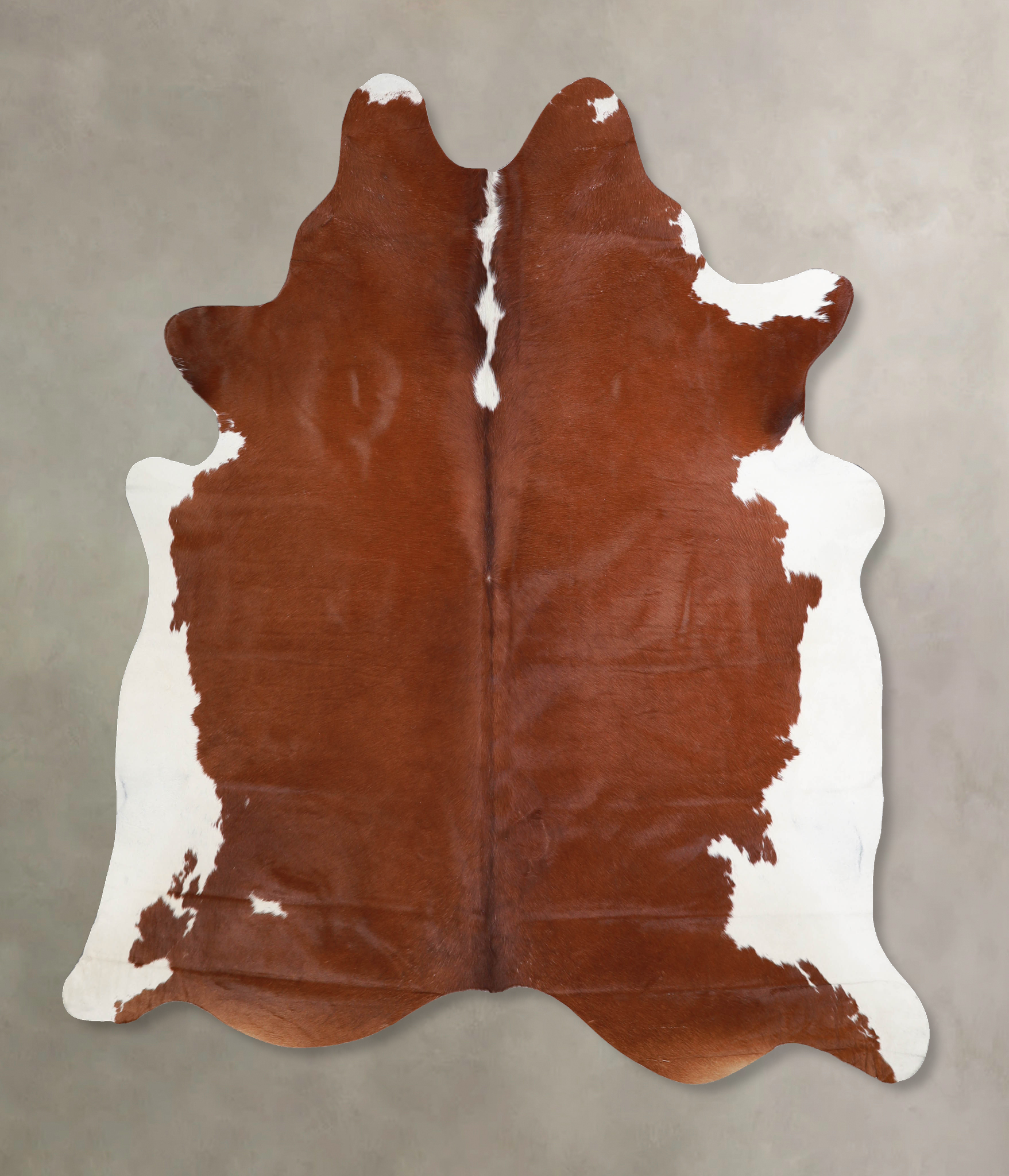 Brown and White Regular Cowhide Rug #A34055