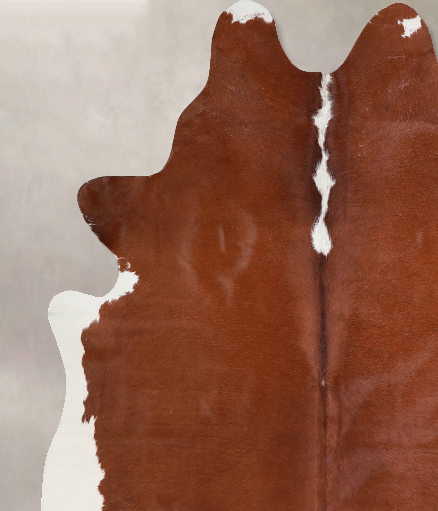 Brown and White Regular Cowhide Rug #A34055