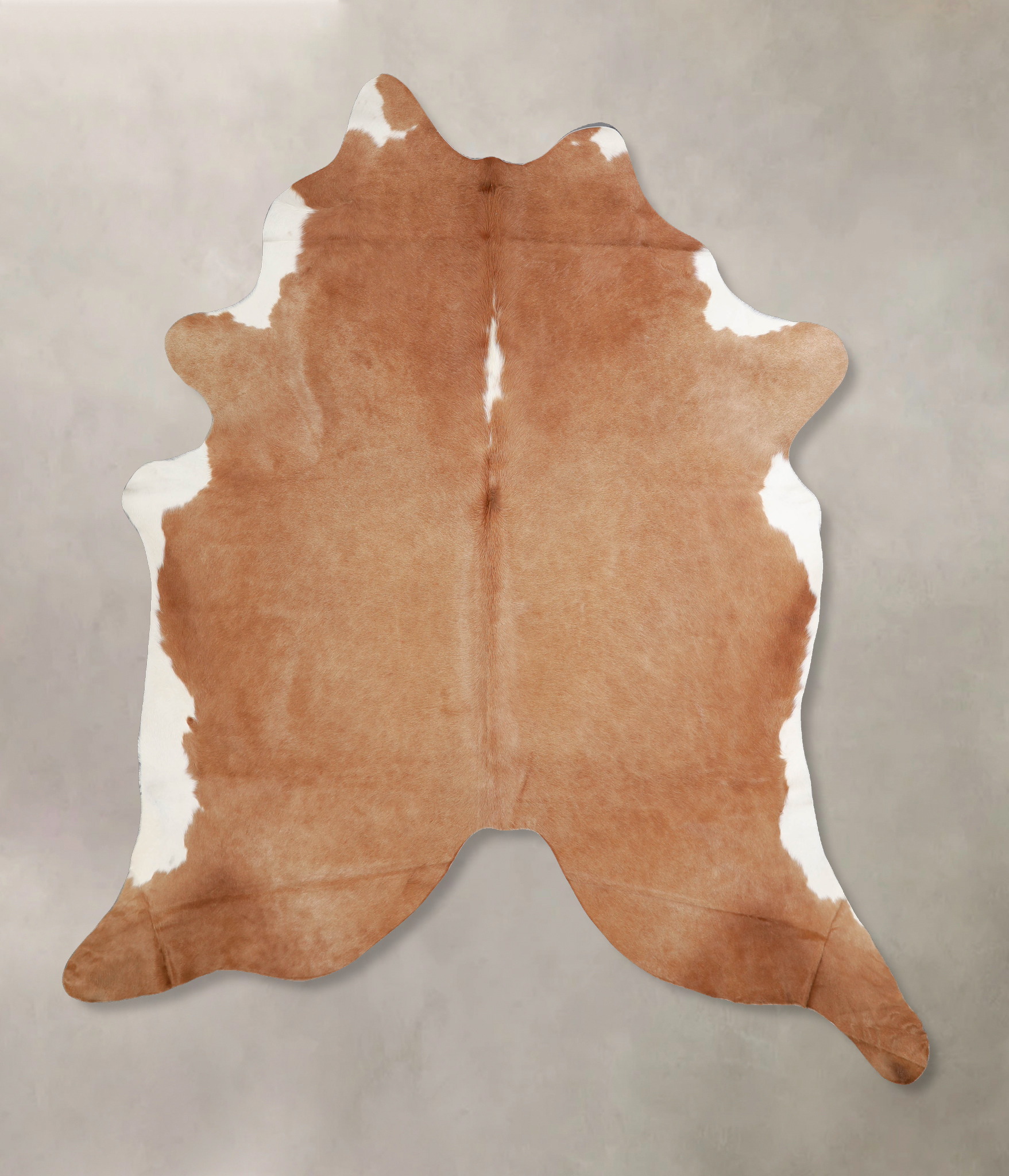 Brown and White Regular Cowhide Rug #A34057