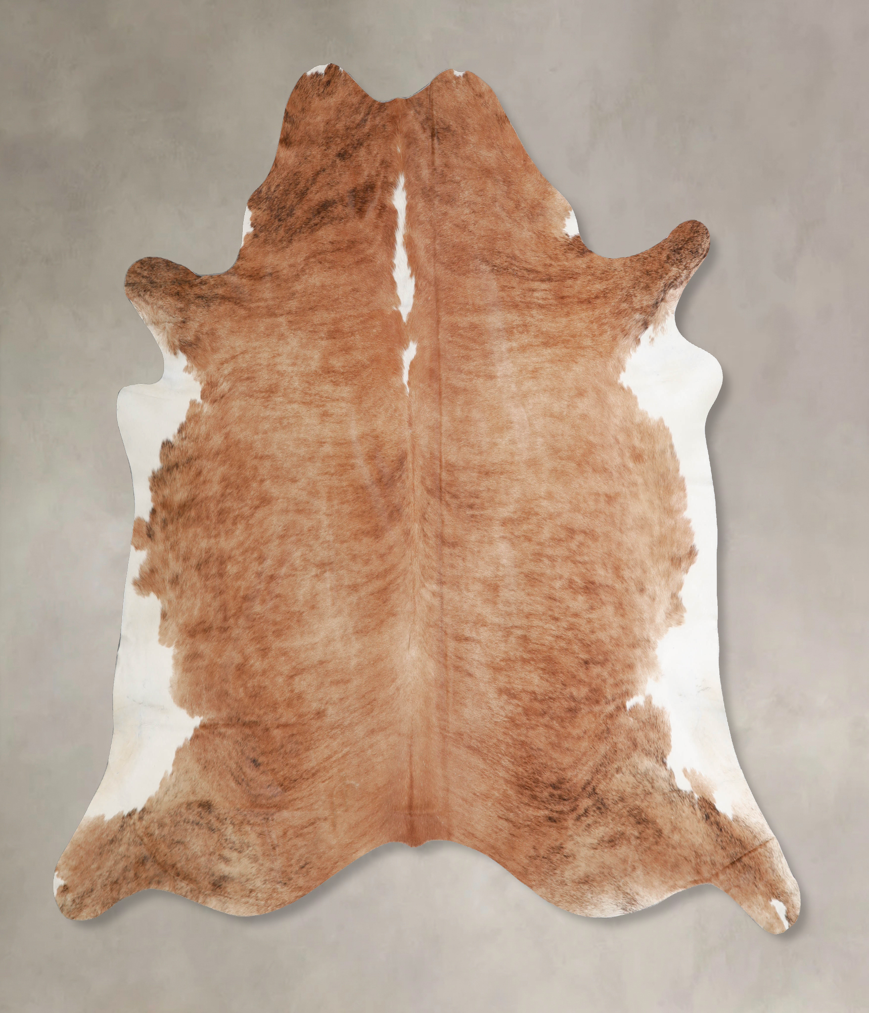 Brown and White Regular Cowhide Rug #A34076