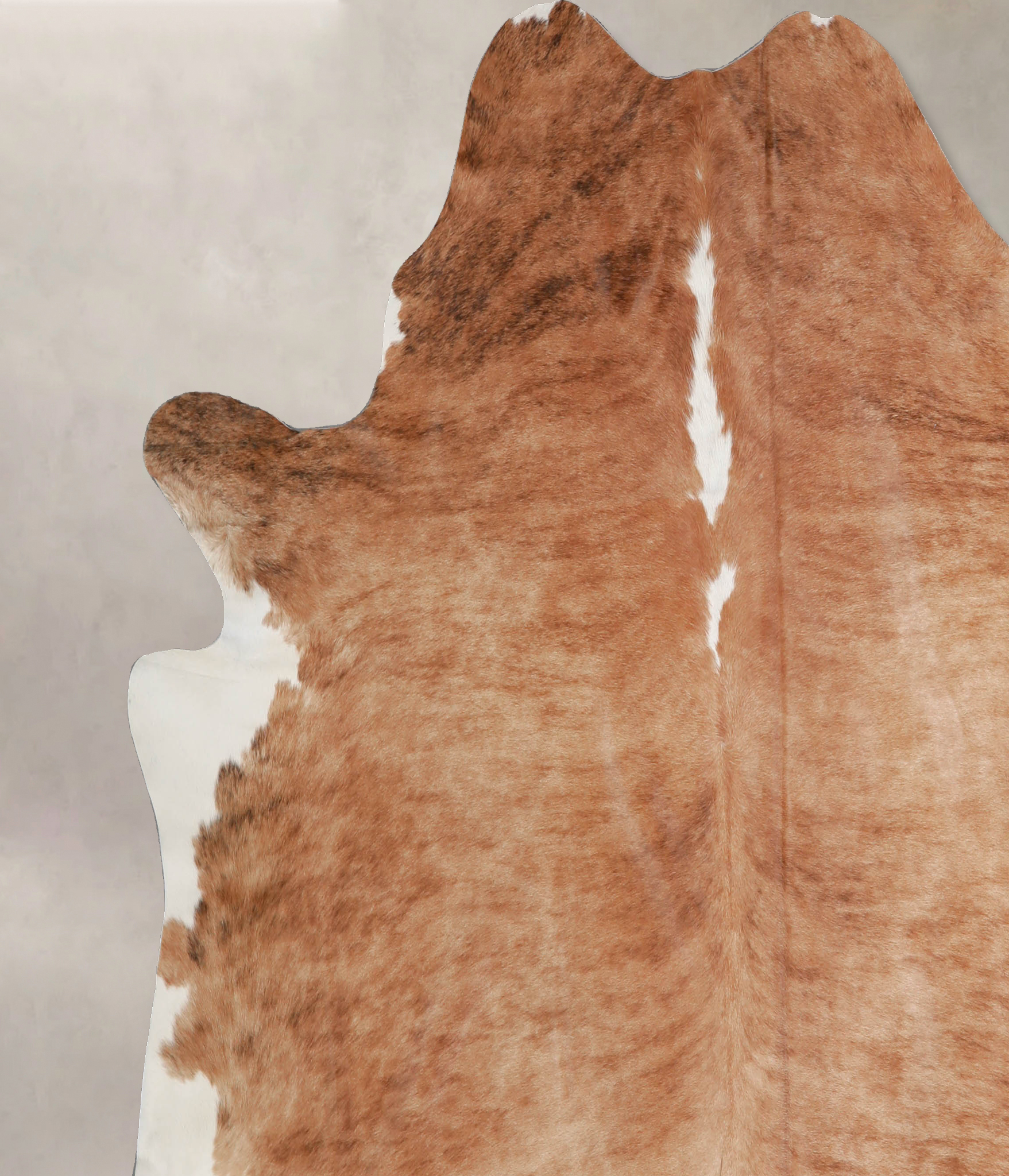 Brown and White Regular Cowhide Rug #A34076