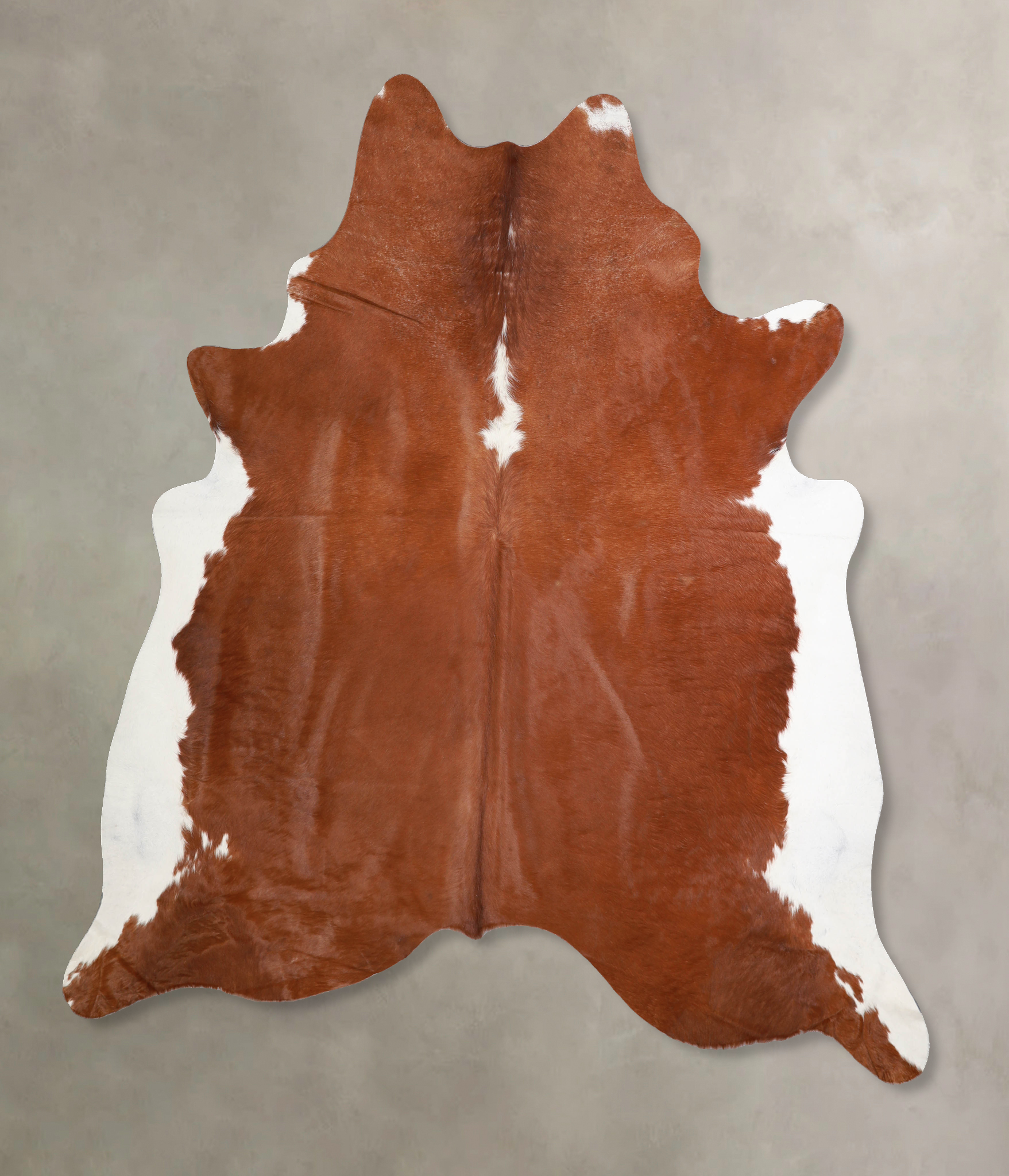 Brown and White Regular Cowhide Rug #A34095