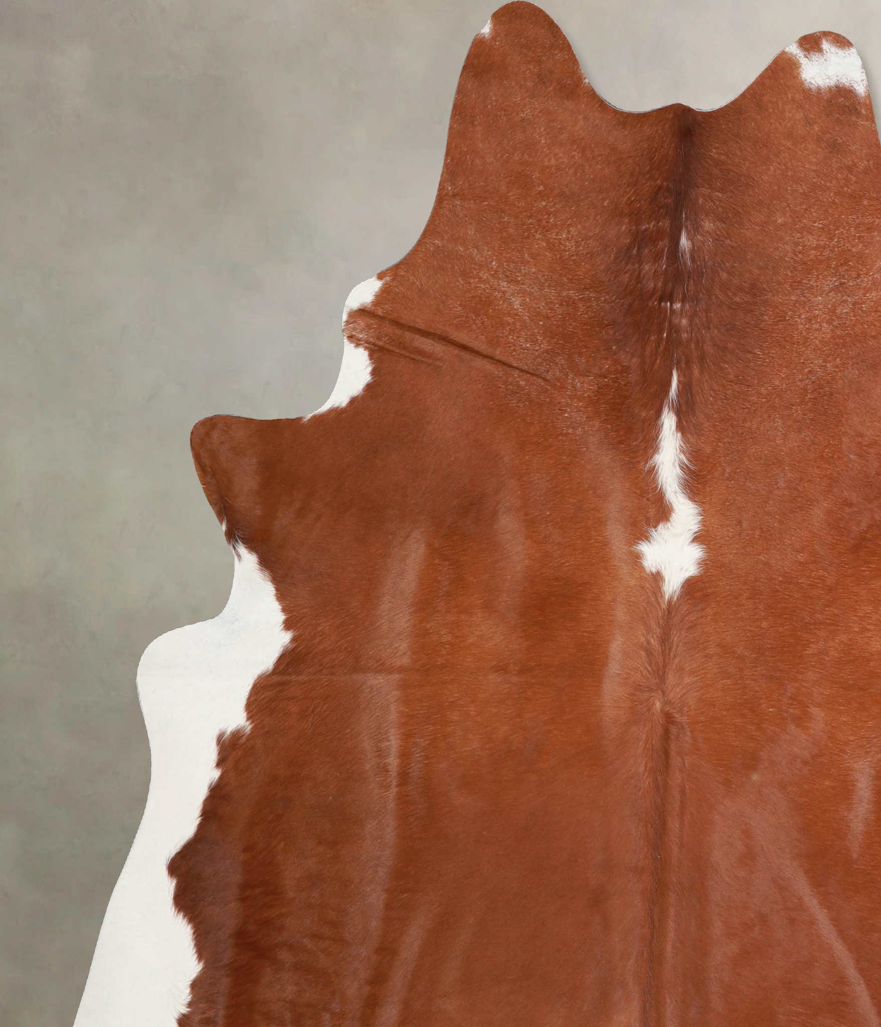 Brown and White Regular Cowhide Rug #A34095