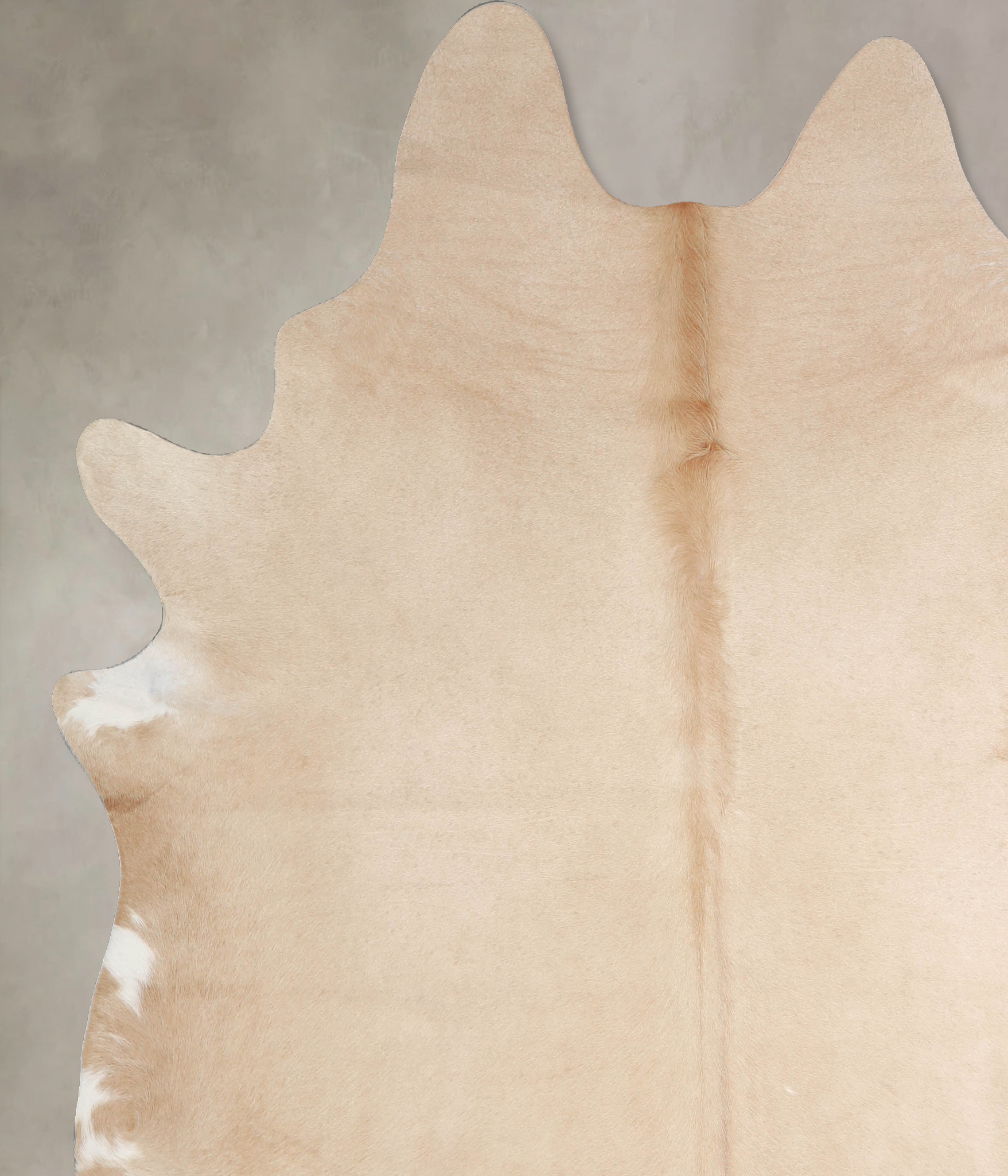 Palomino Cowhide Rug #A34102