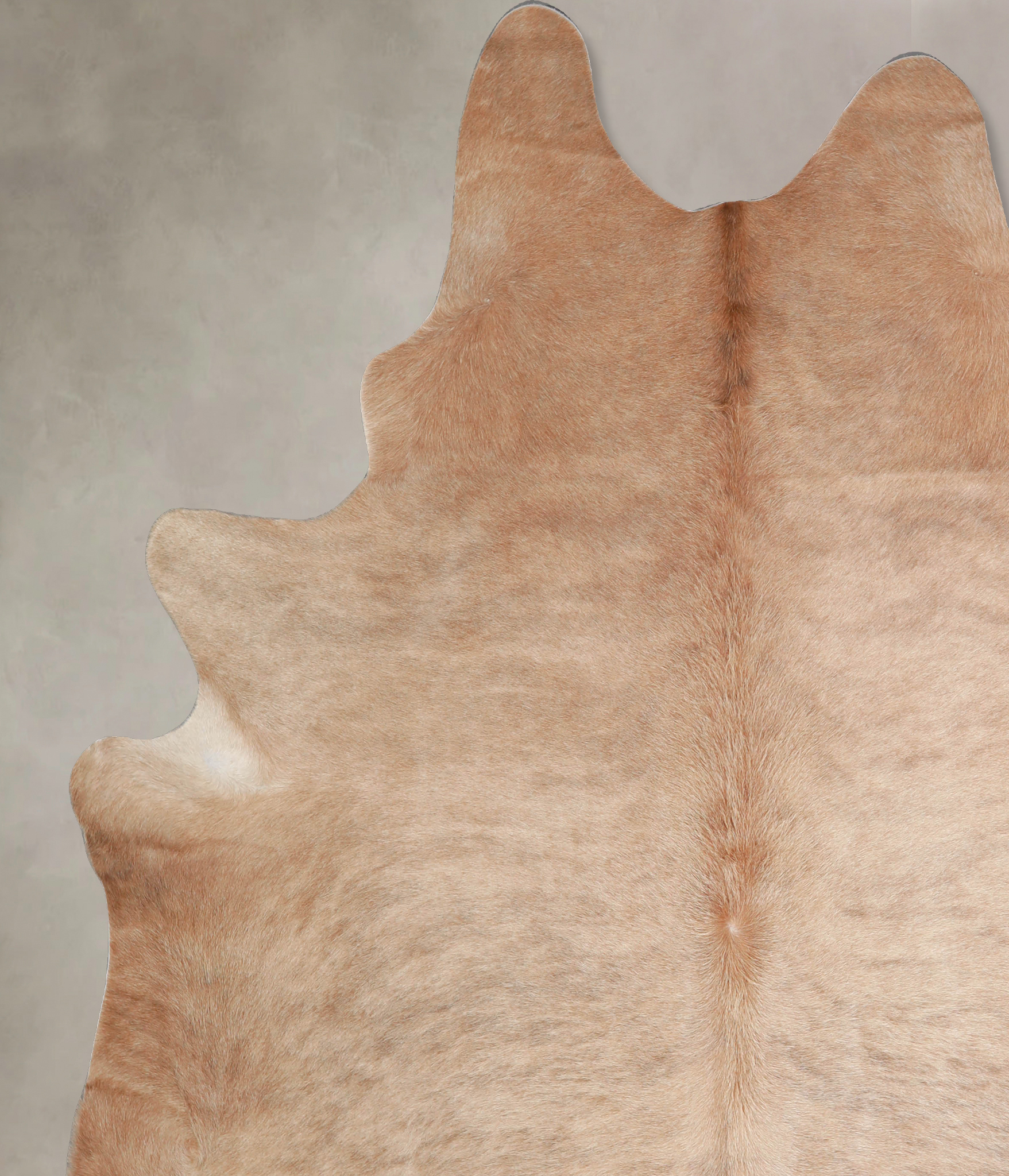 Beige Cowhide Rug #A34104