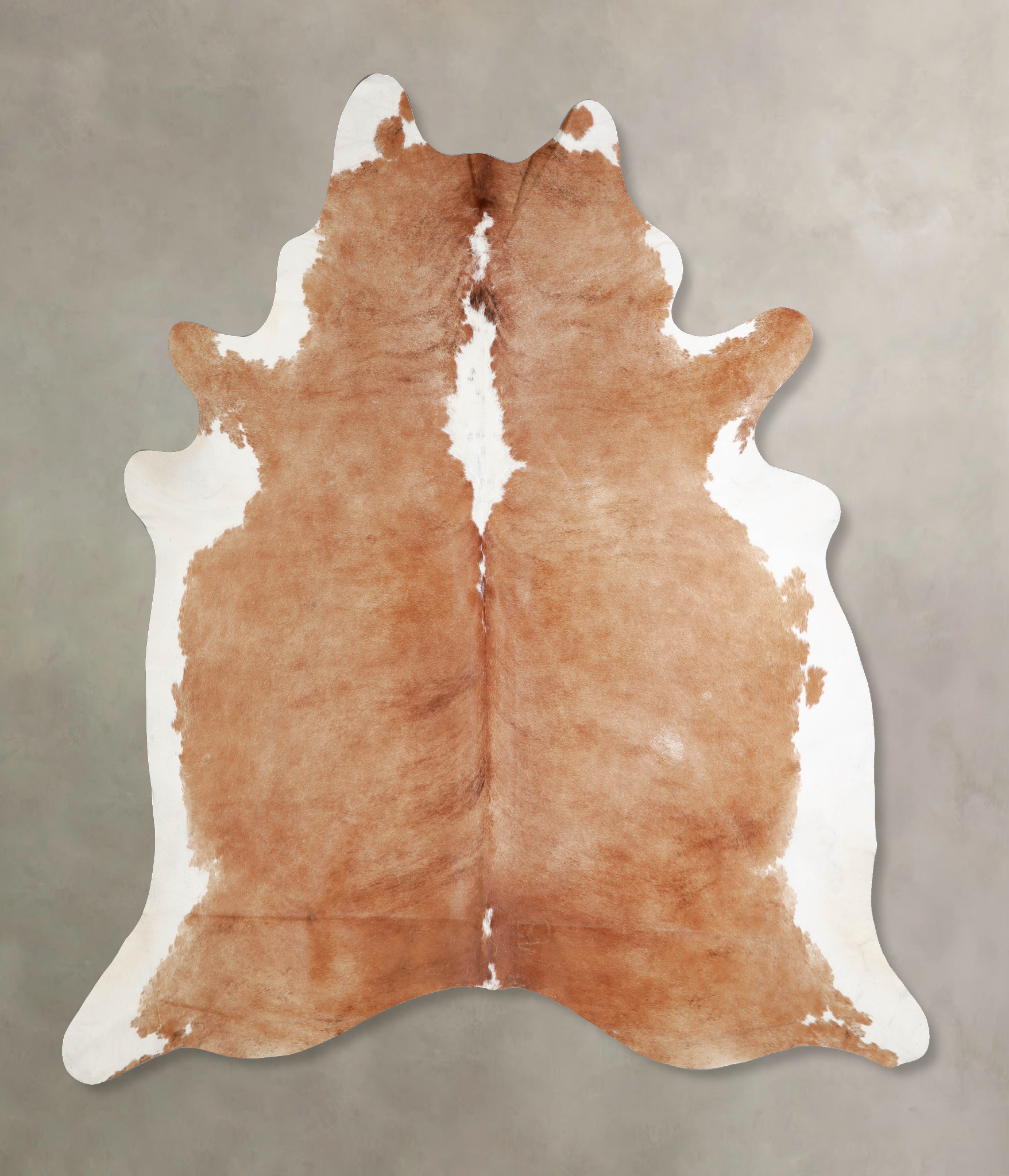 Brown and White Regular Cowhide Rug #A34167