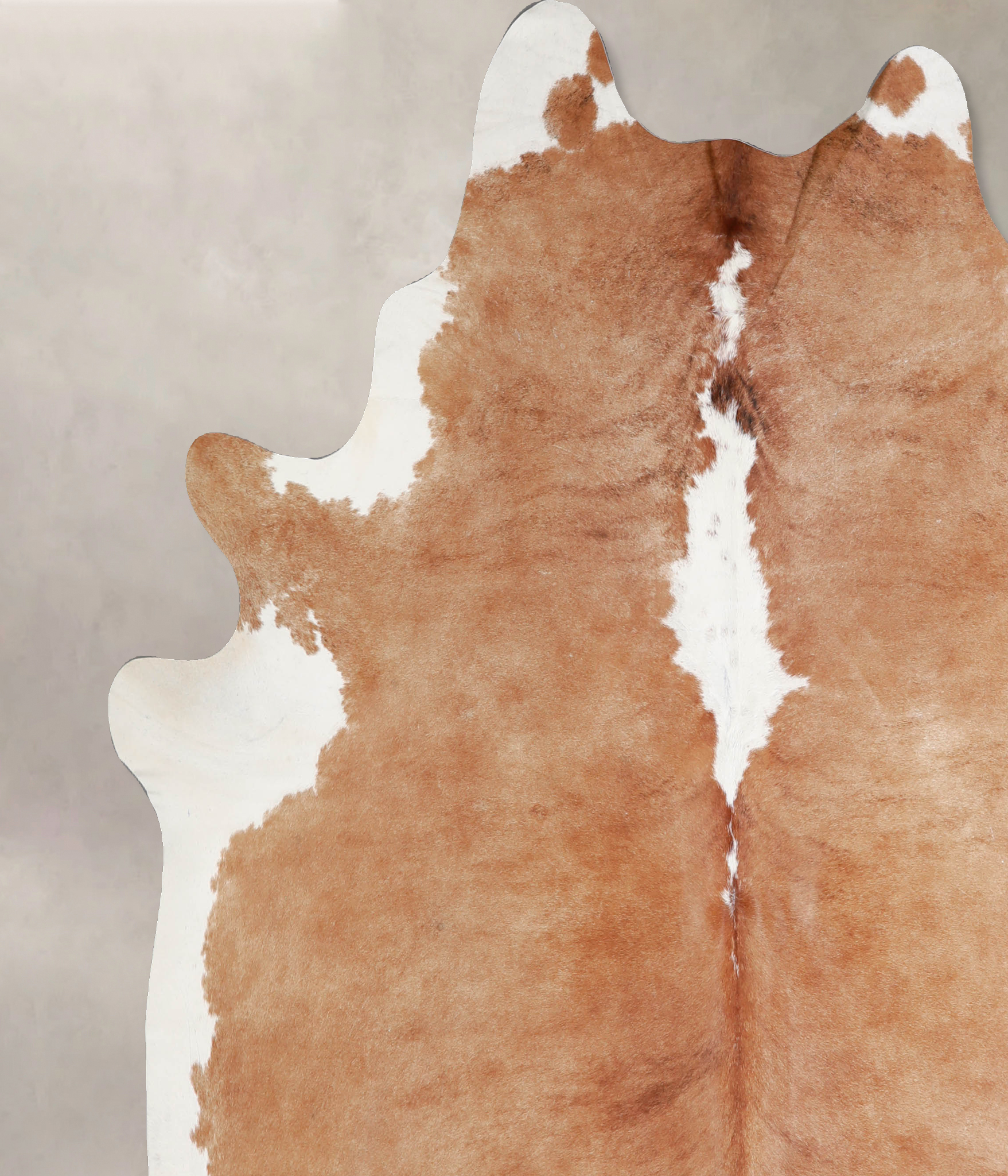 Brown and White Regular Cowhide Rug #A34167