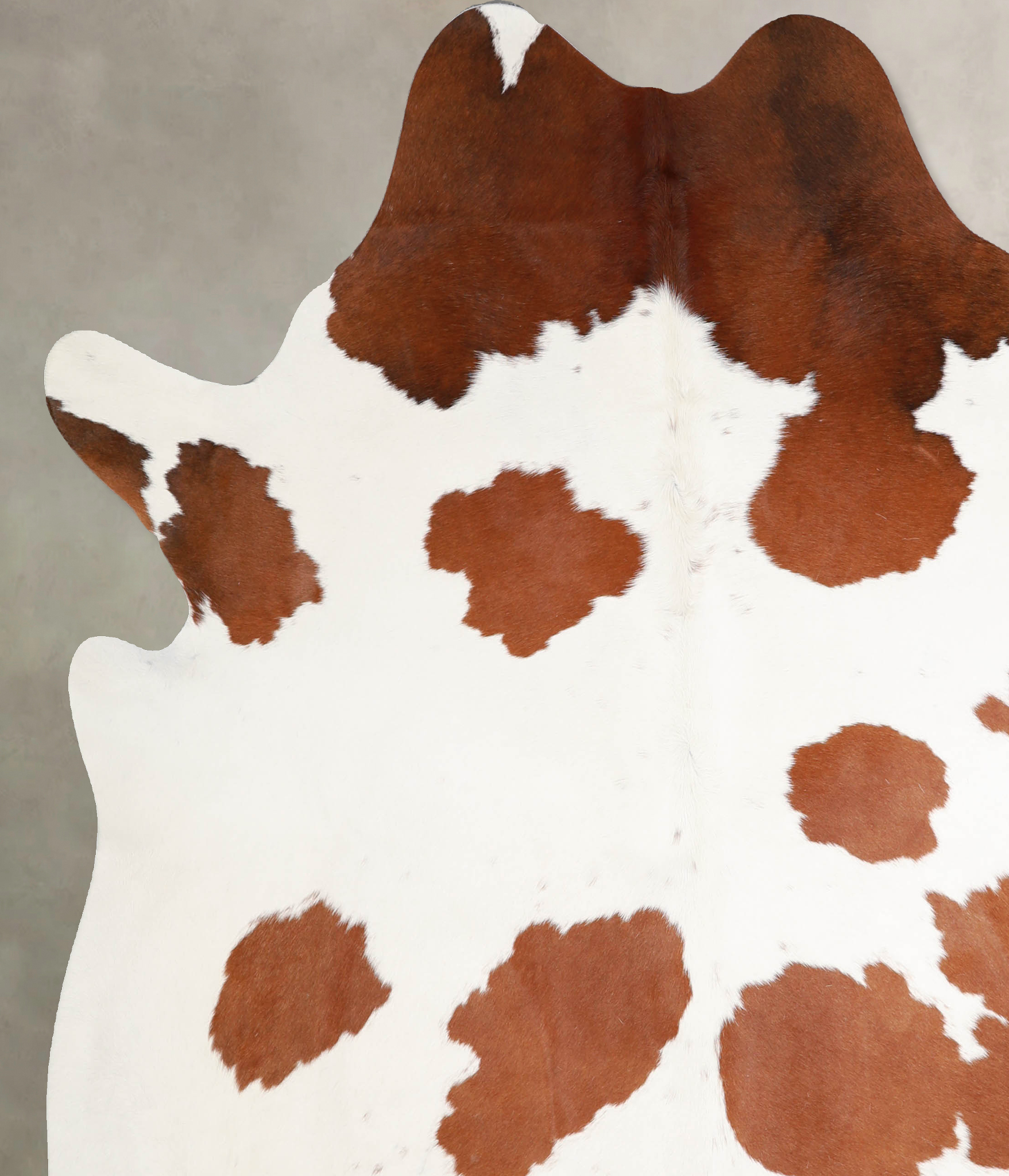 Brown and White Cowhide Rug #A34303