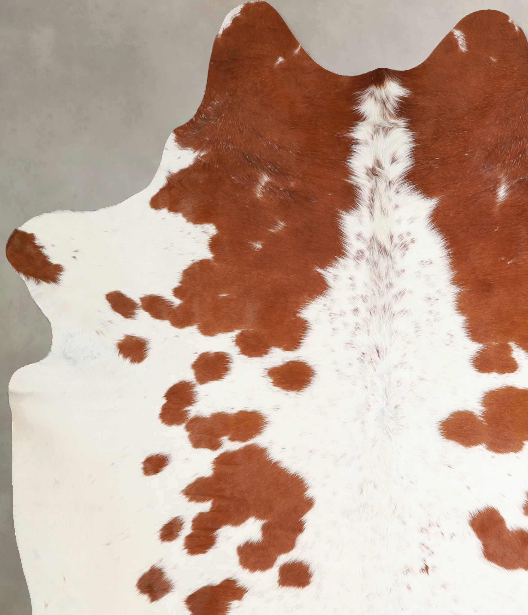 Brown and White Cowhide Rug #A34304