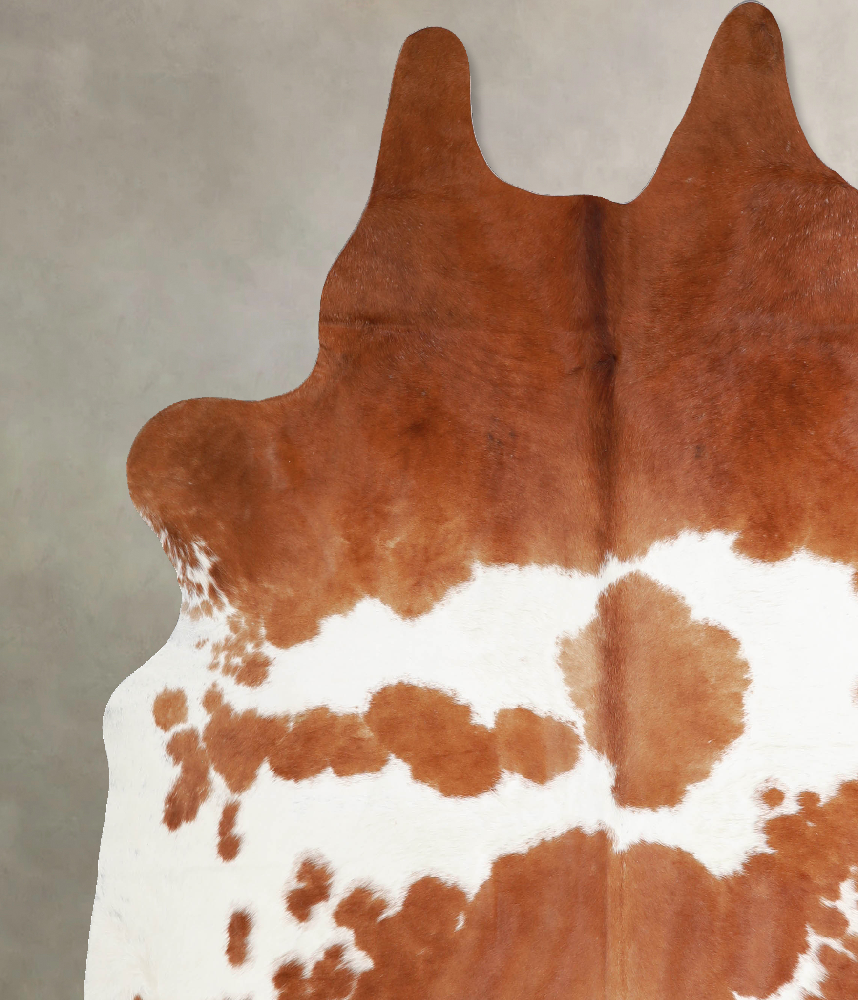 Brown and White Cowhide Rug #A34343