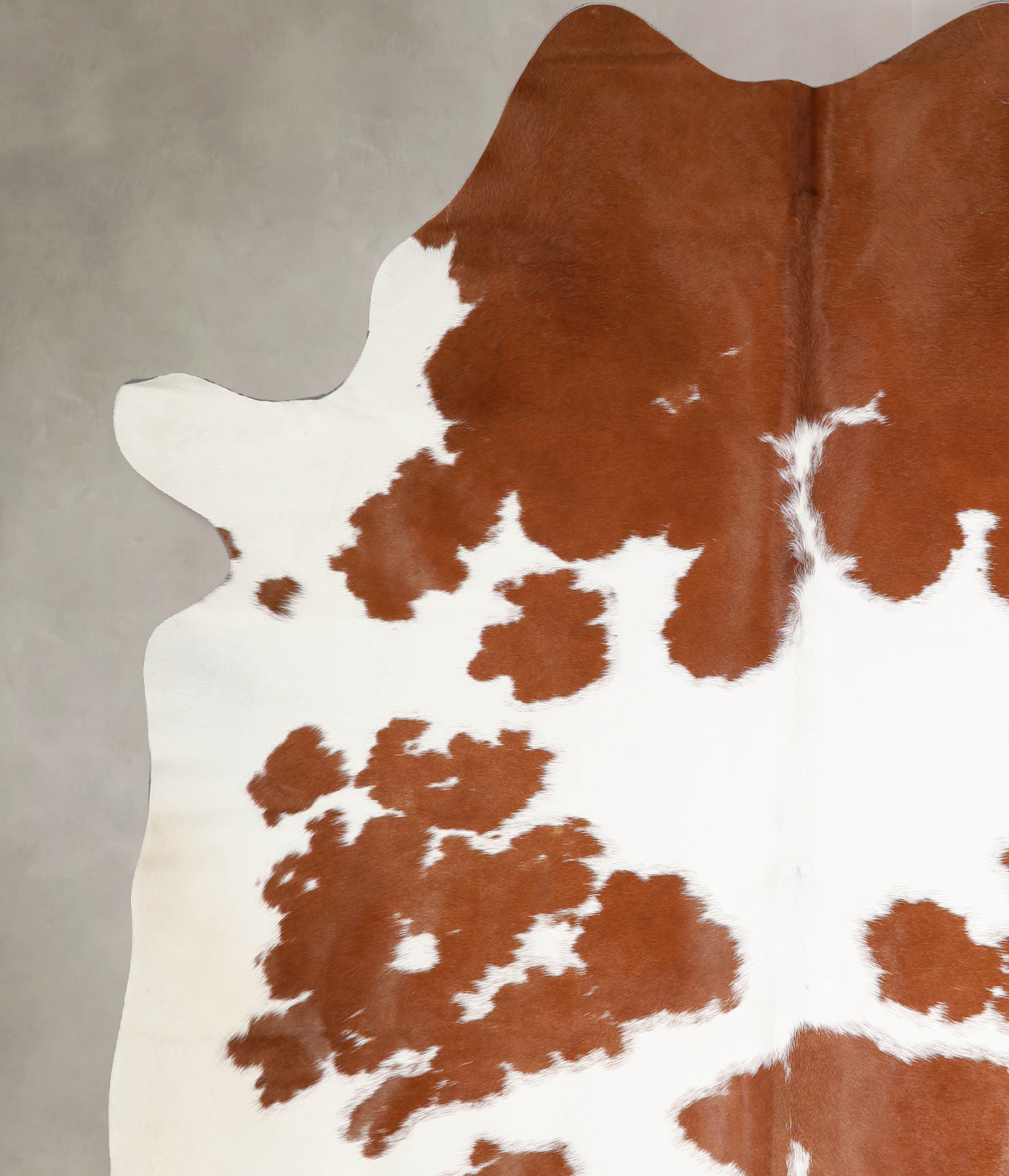 Brown and White Cowhide Rug #A34344