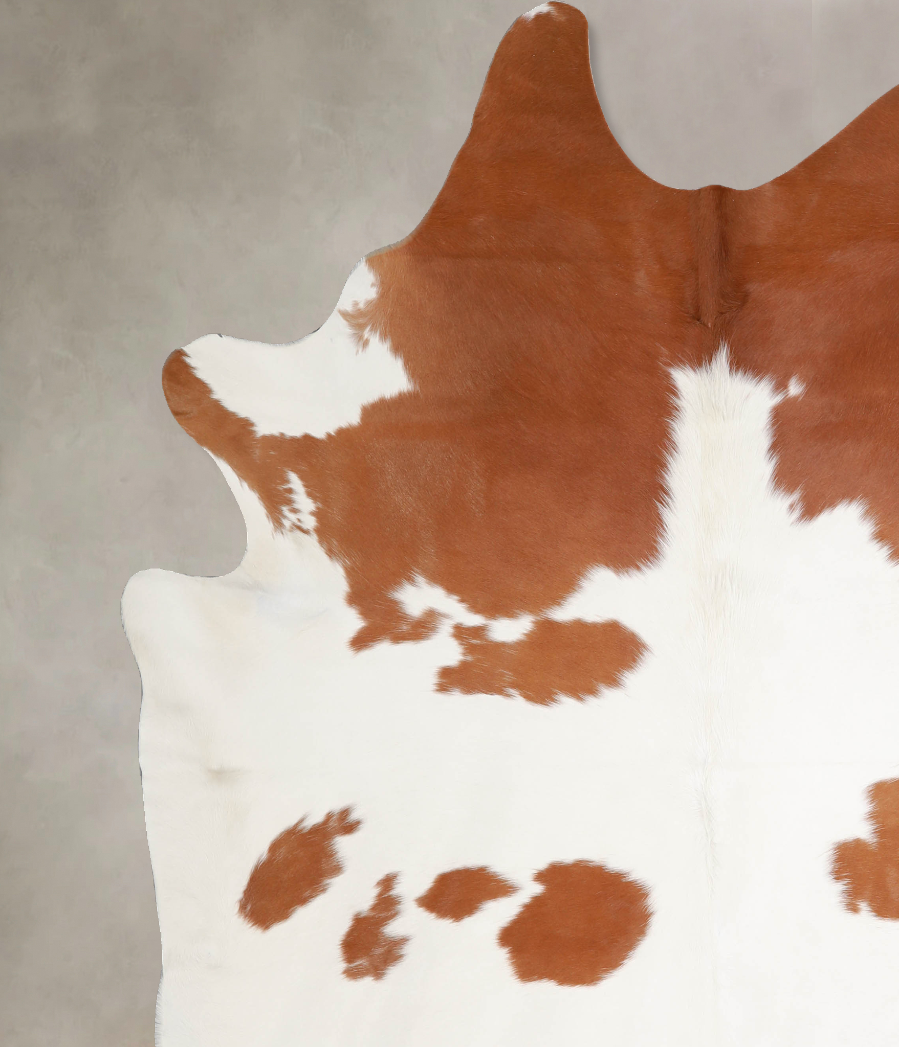 Brown and White Cowhide Rug #A34398