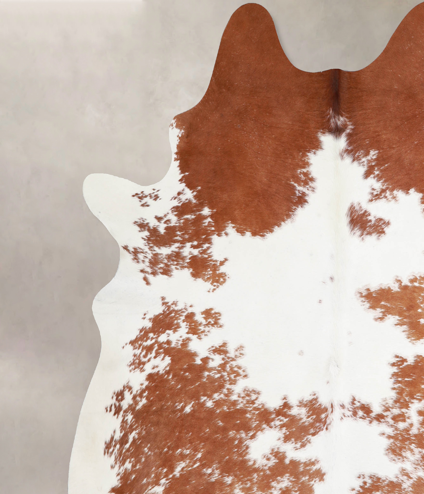 Brown and White Cowhide Rug #A34399