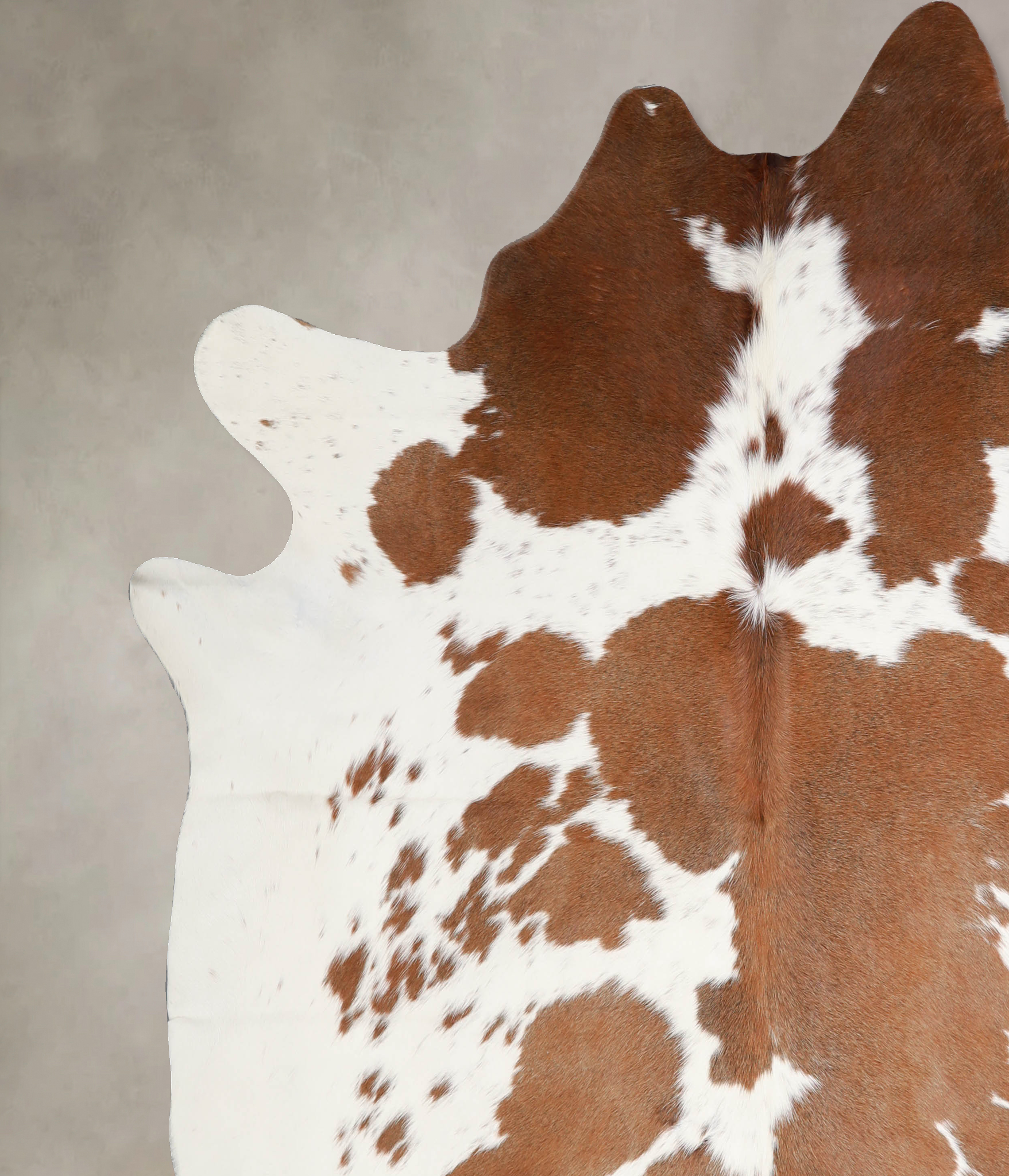 Brown and White Cowhide Rug #A34400