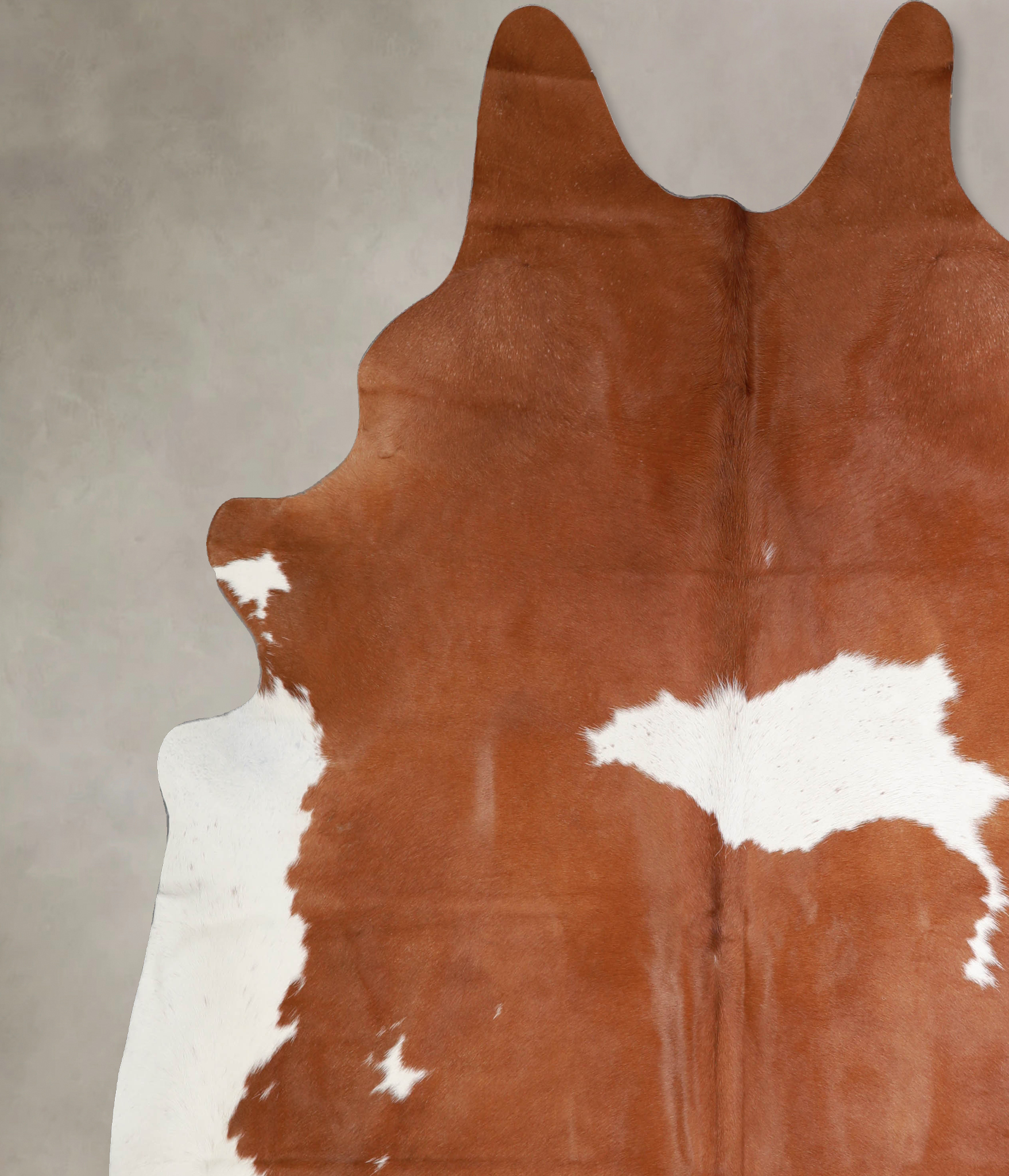 Brown and White Cowhide Rug #A34404