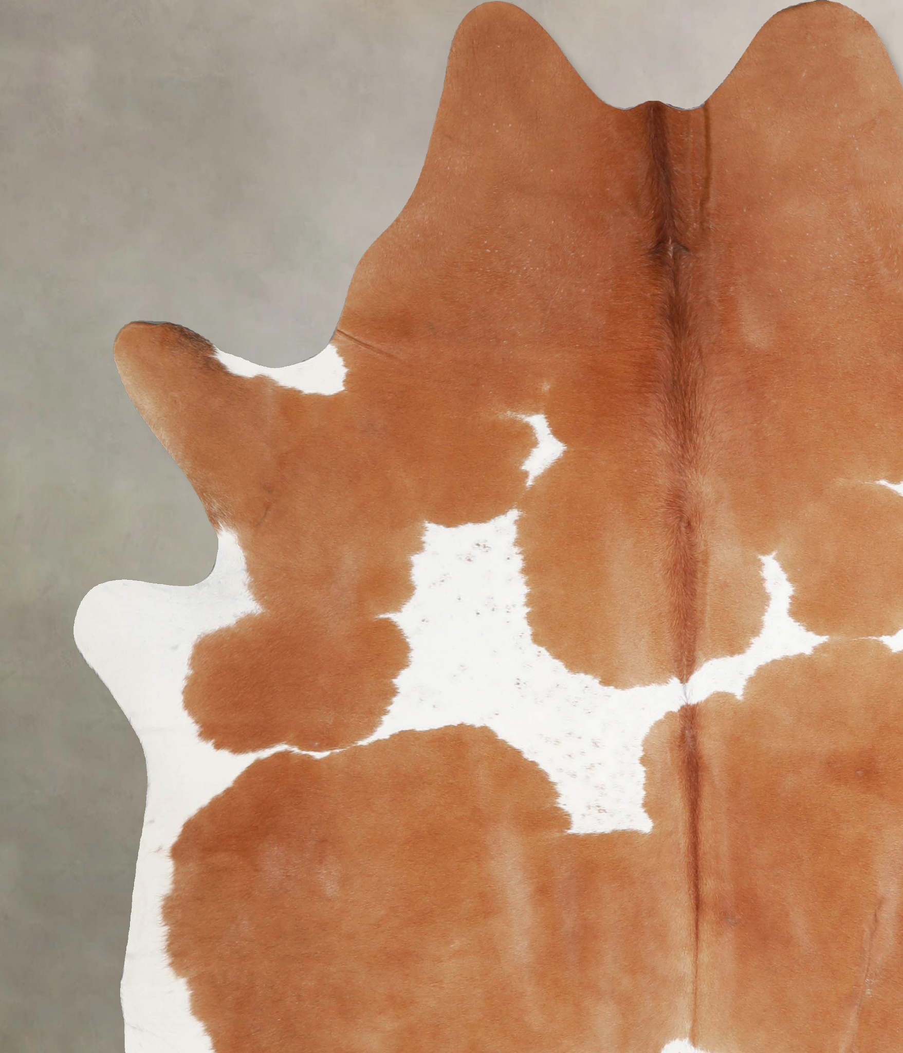 Brown and White Cowhide Rug #A34405