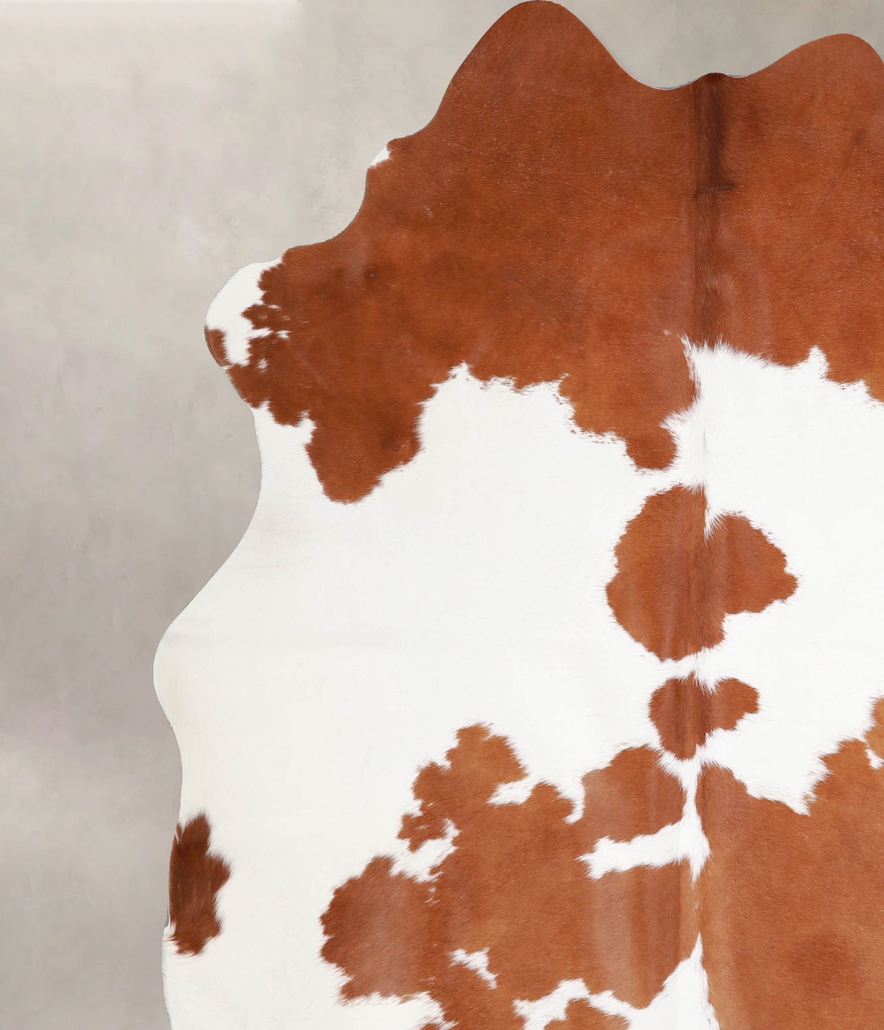 Brown and White Cowhide Rug #A34411