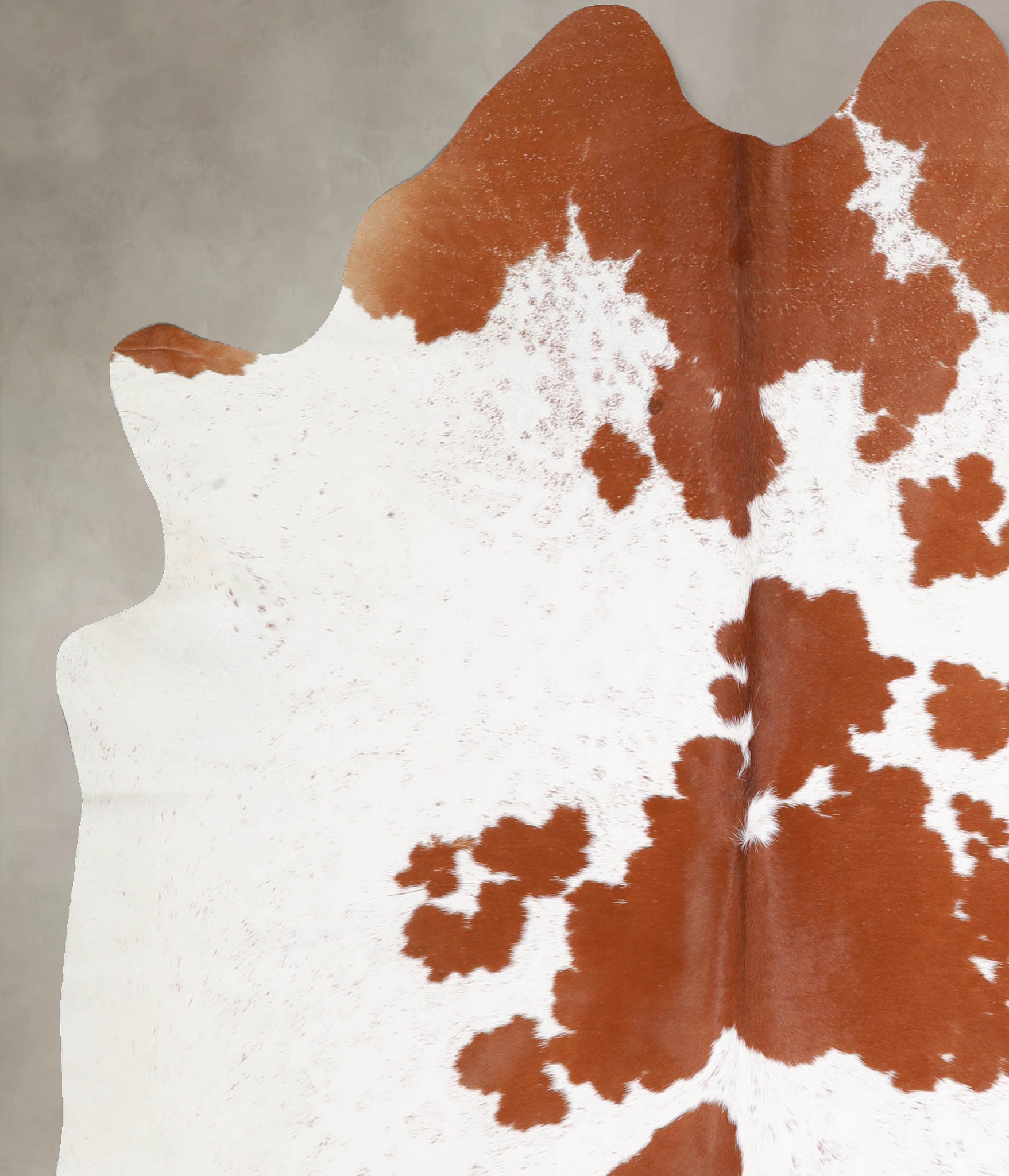 Brown and White Cowhide Rug #A34416