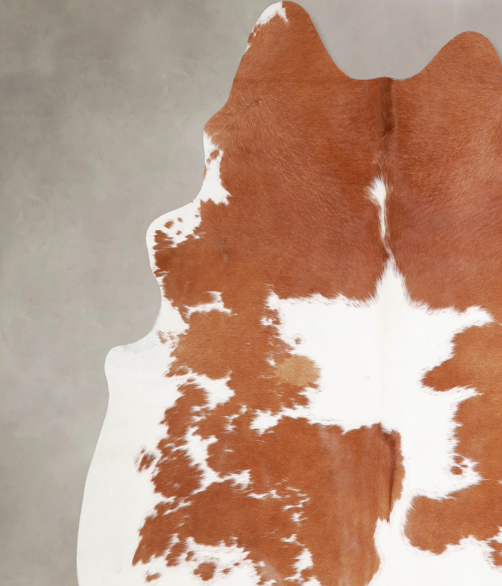 Brown and White Cowhide Rug #A34420