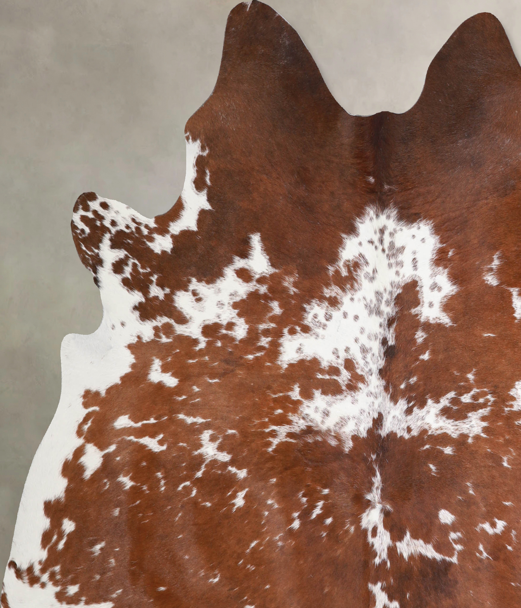 Brown and White Cowhide Rug #A34421