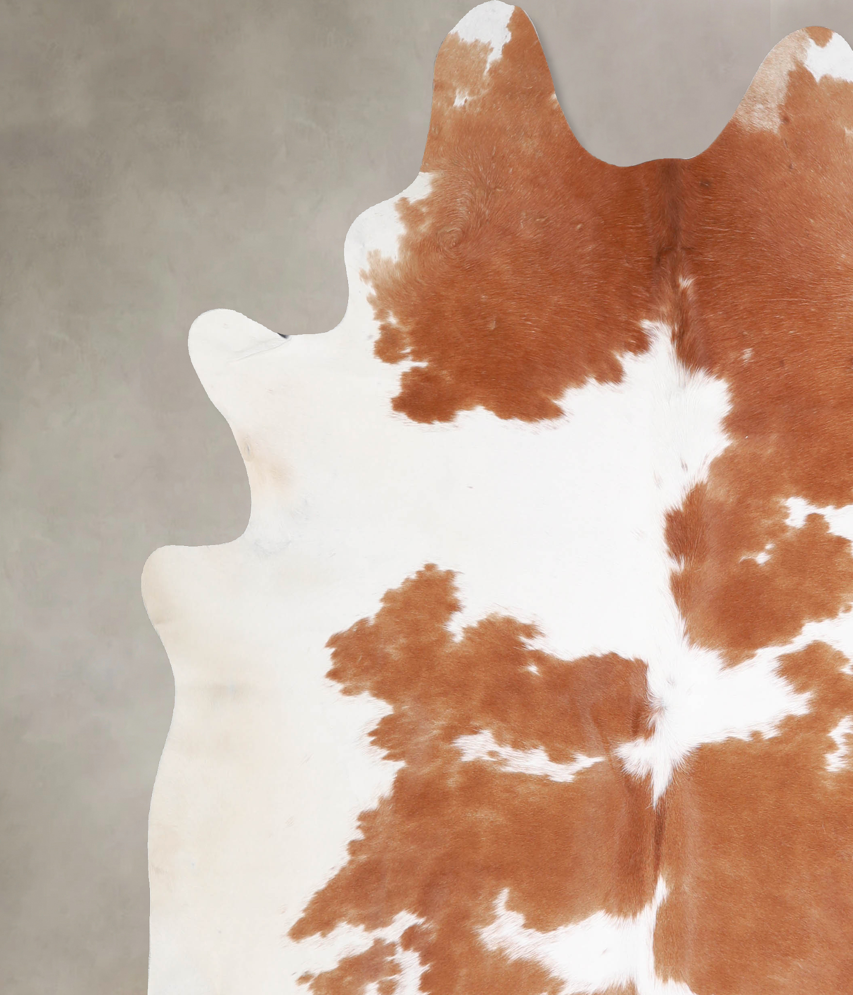 Brown and White Cowhide Rug #A34422