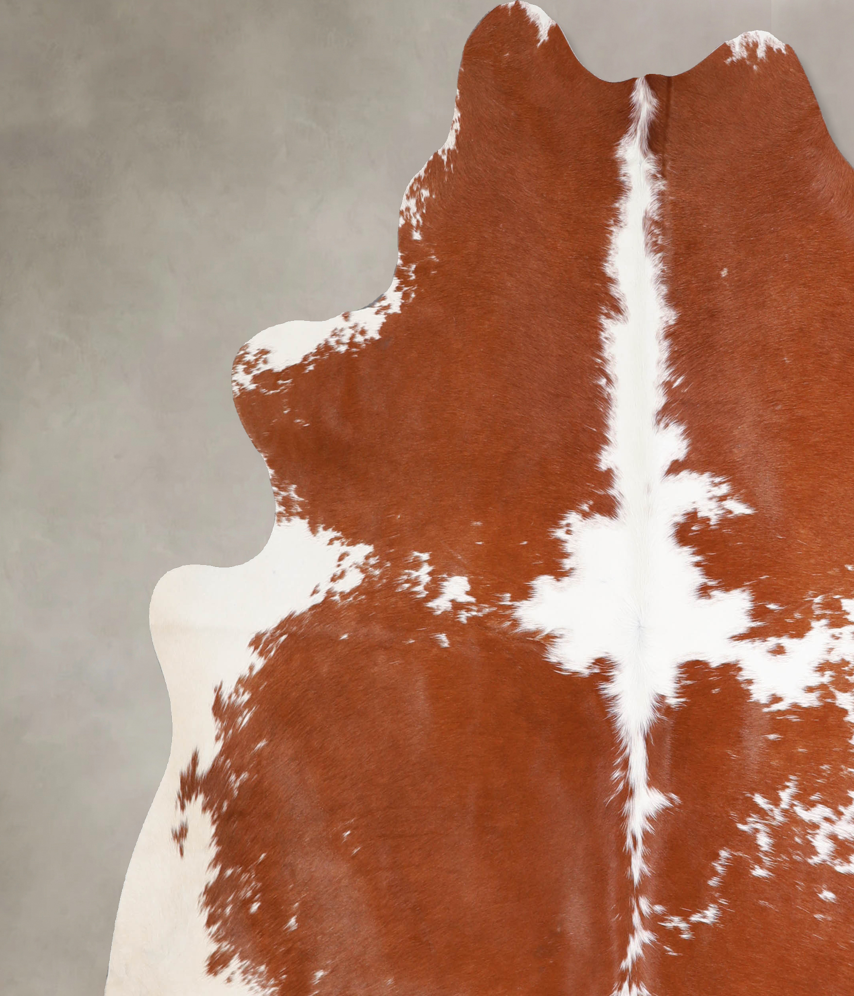 Brown and White Cowhide Rug #A34423