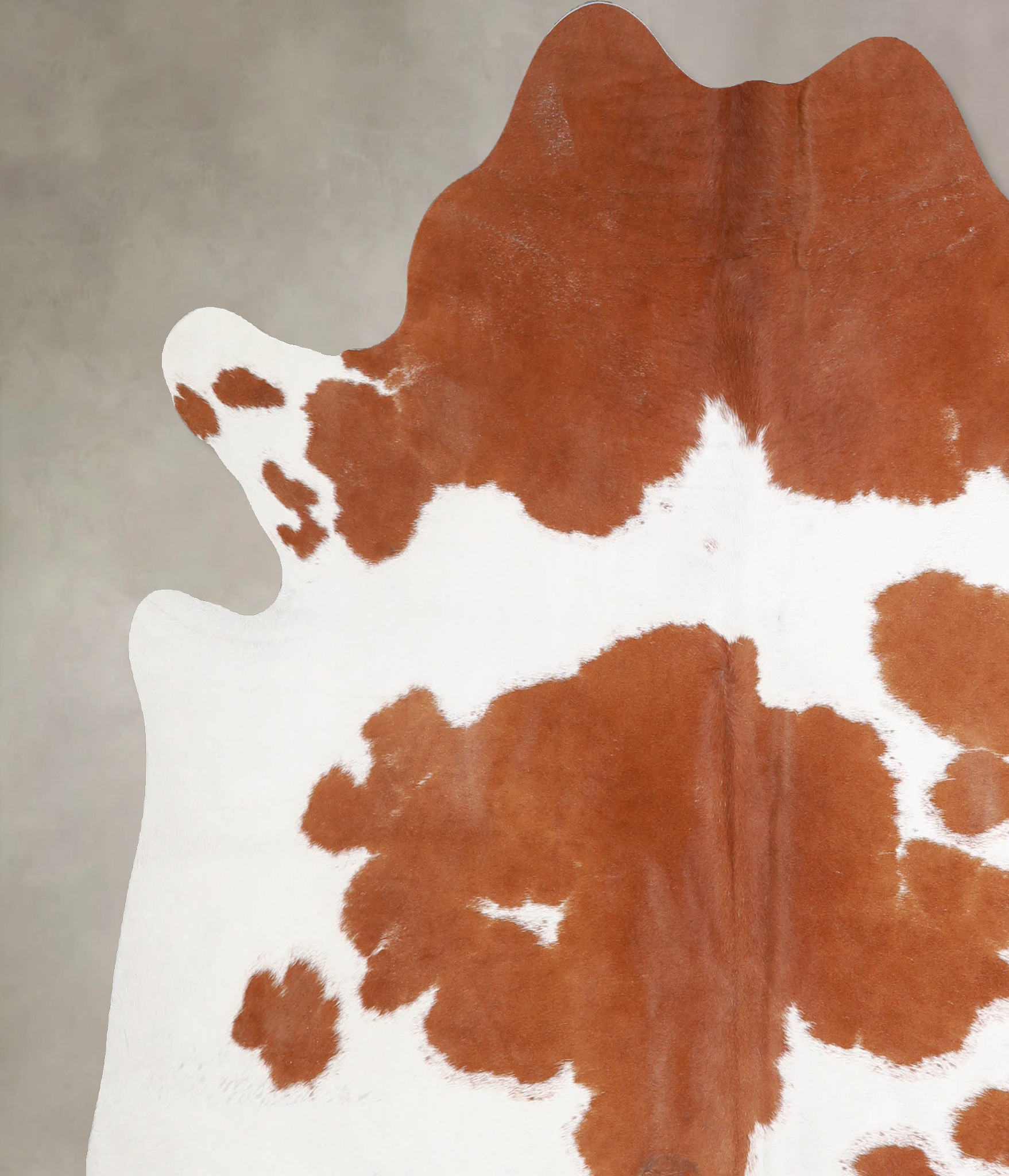 Brown and White Cowhide Rug #A34449