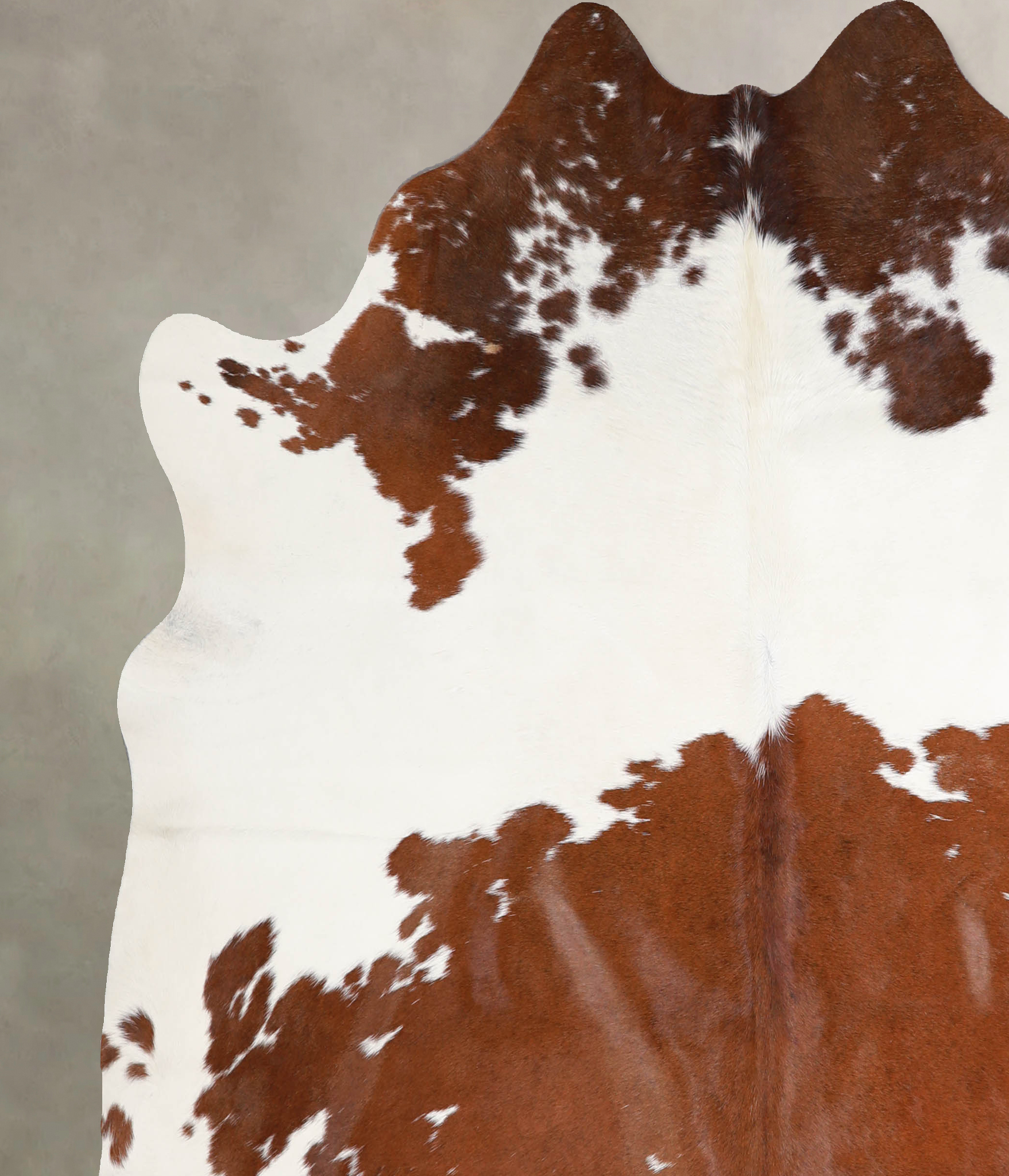 Brown and White Cowhide Rug #A34450