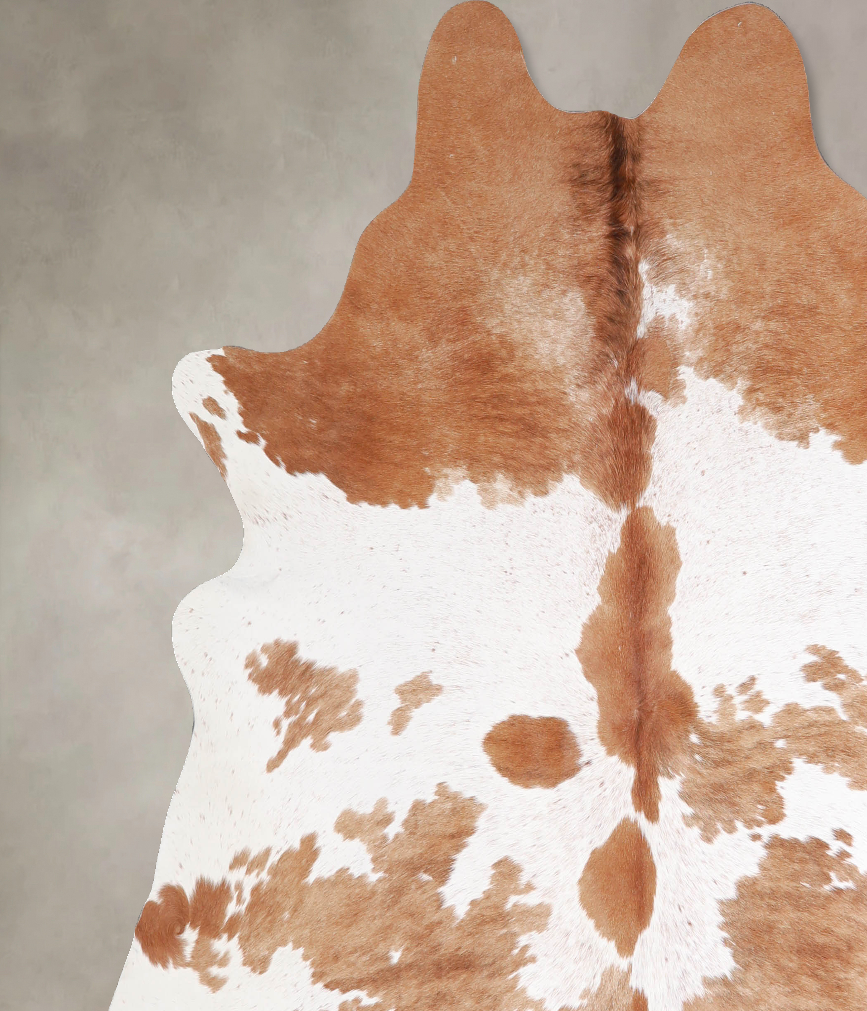 Brown and White Cowhide Rug #A34453