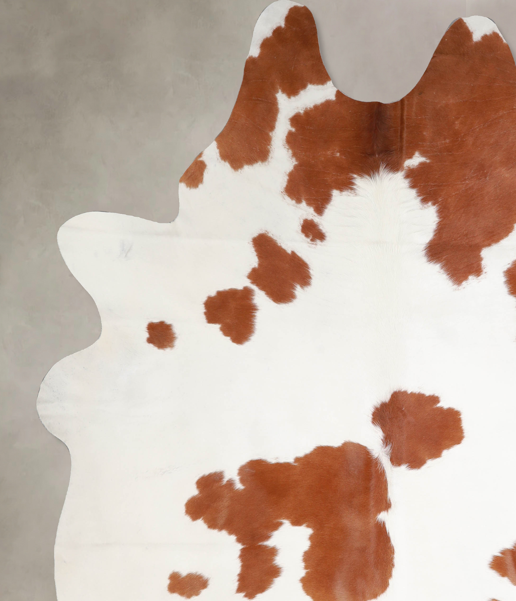 Brown and White Cowhide Rug #A34467