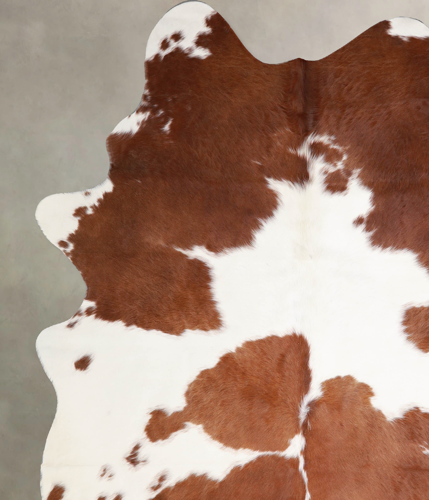 Brown and White Cowhide Rug #A34484