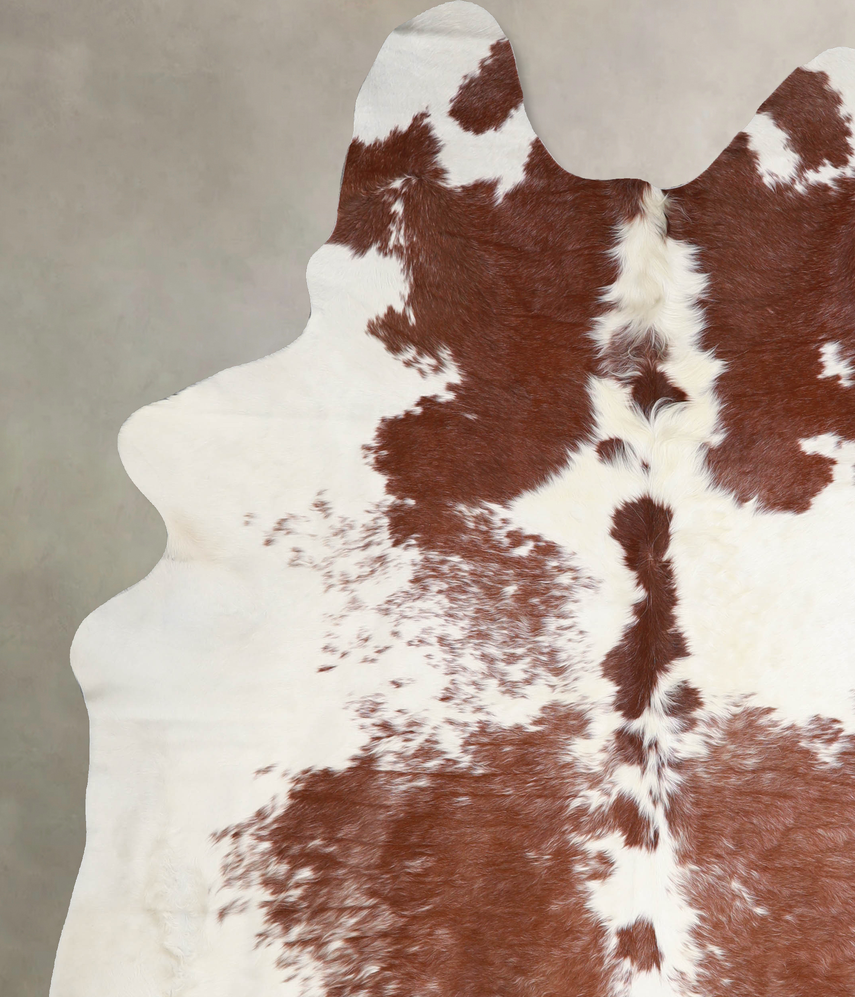 Brown and White Cowhide Rug #A34487