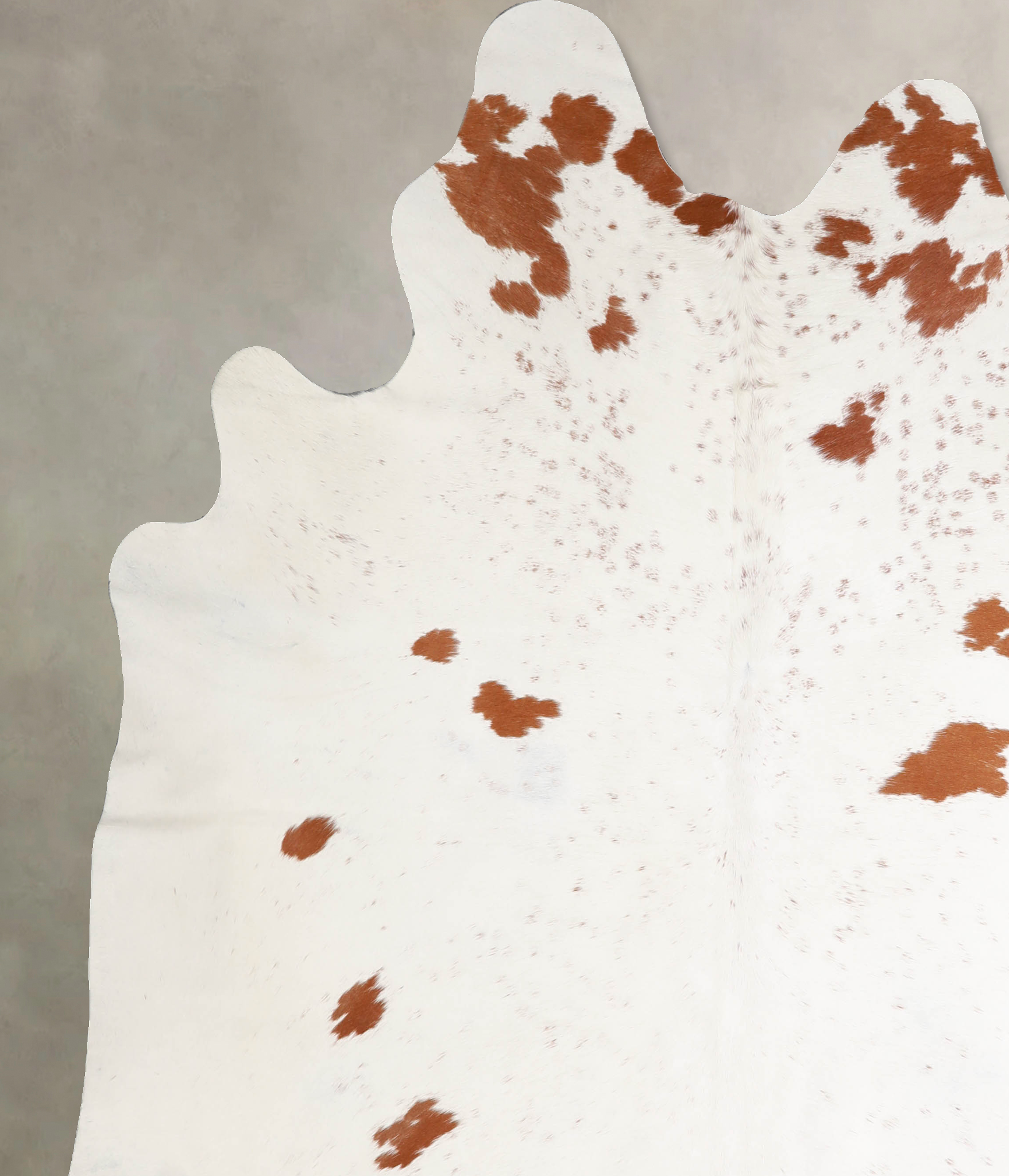 Brown and White Regular Cowhide Rug #A34491