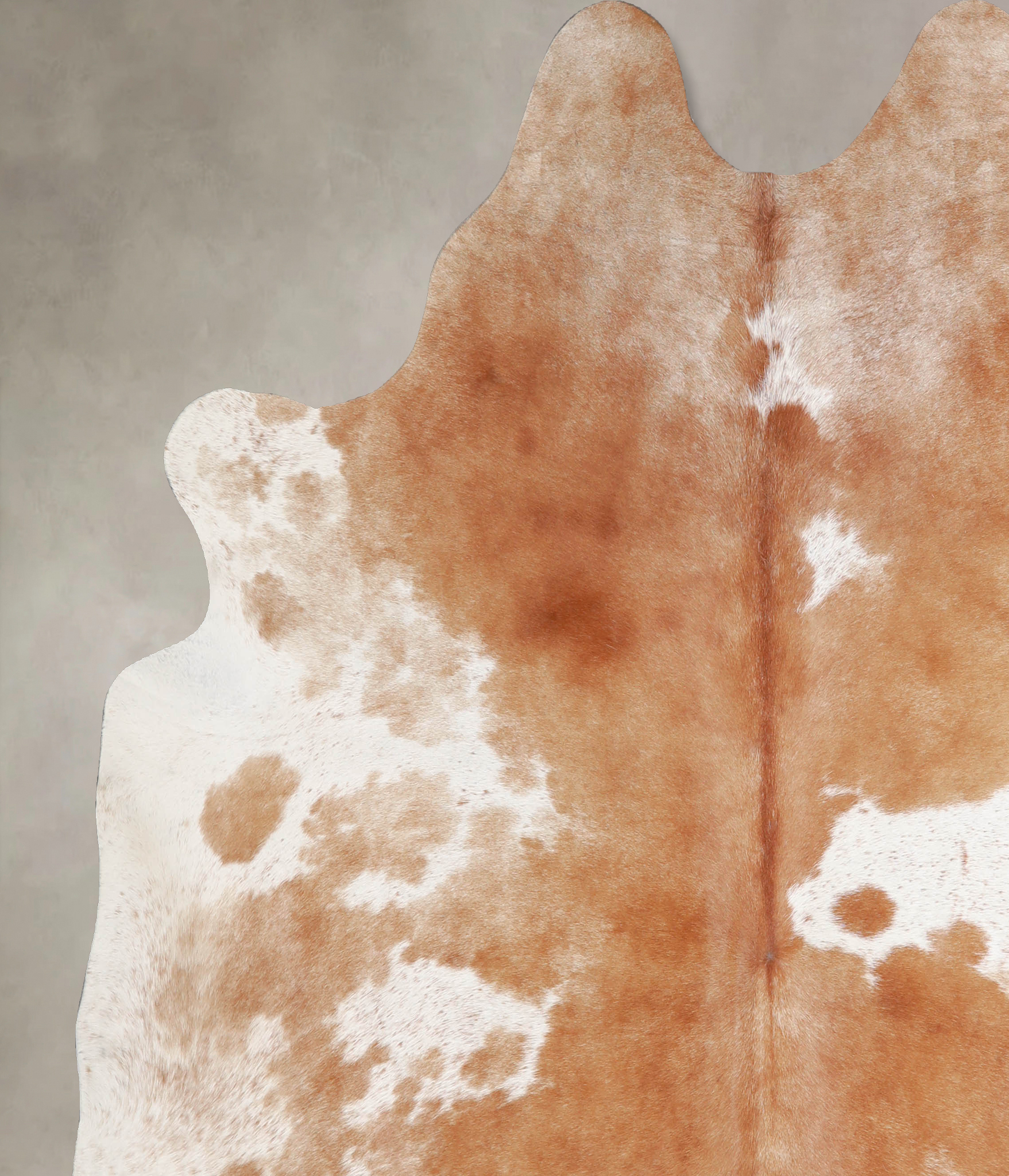 Brown and White Cowhide Rug #A34509