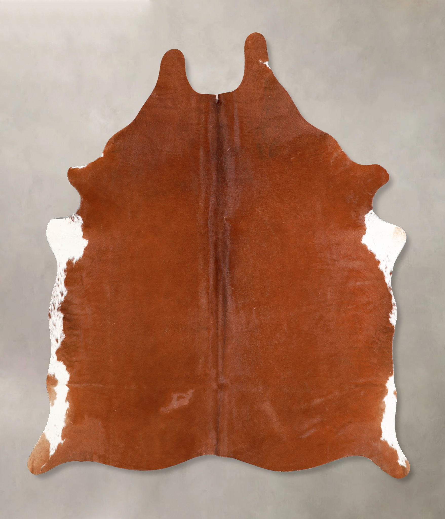 Brown and White Regular Cowhide Rug #A34675