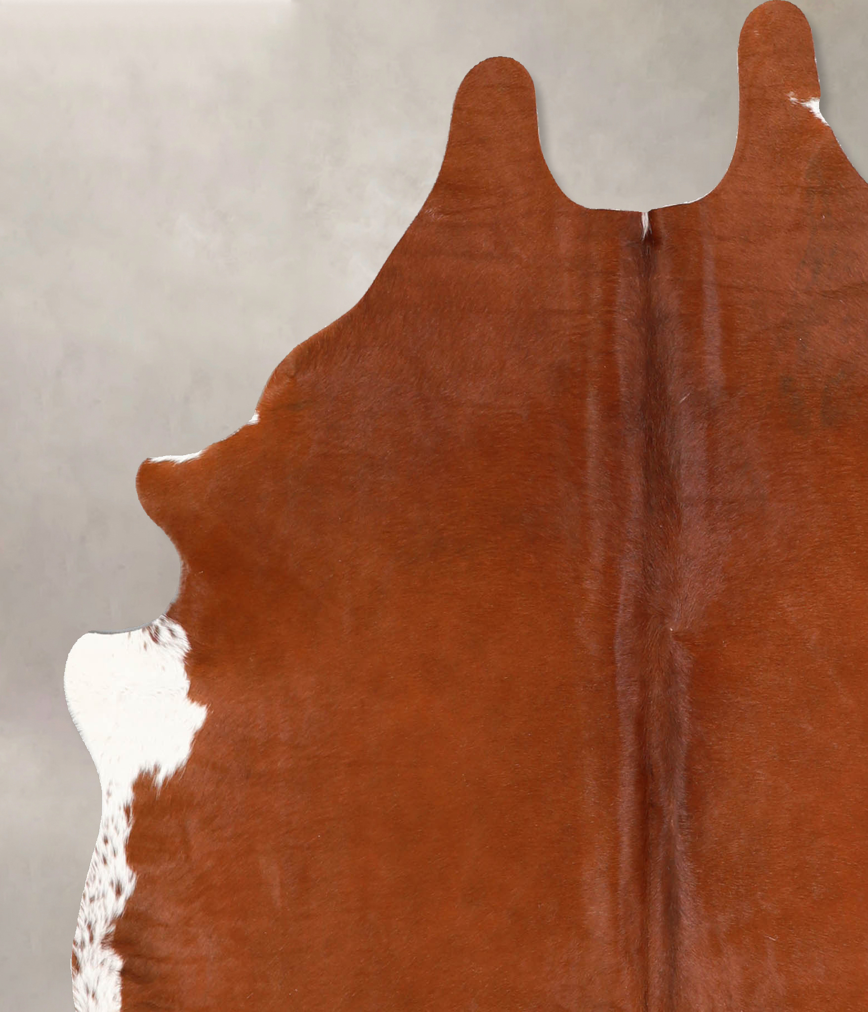 Brown and White Regular Cowhide Rug #A34675