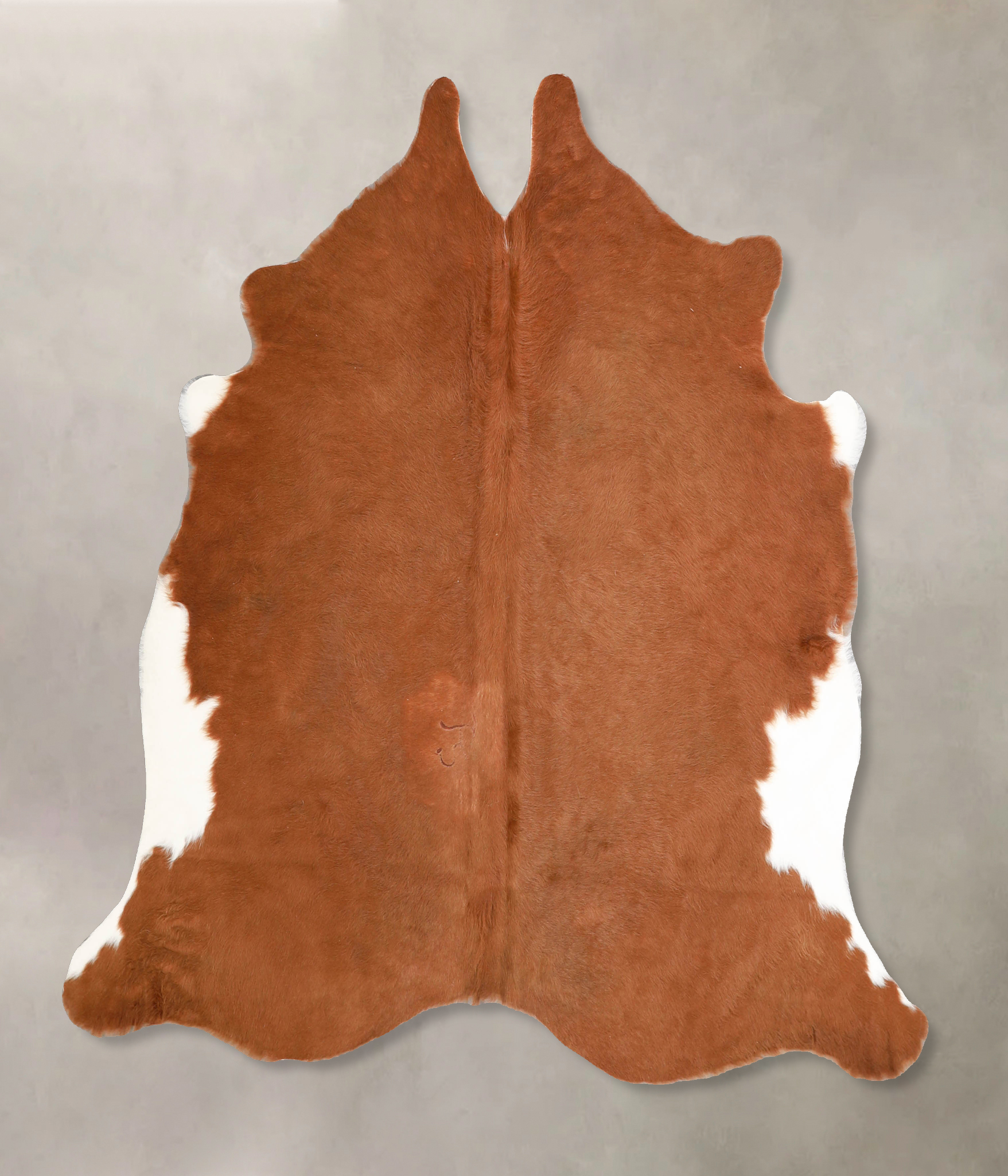 Brown and White Regular Cowhide Rug #A34676