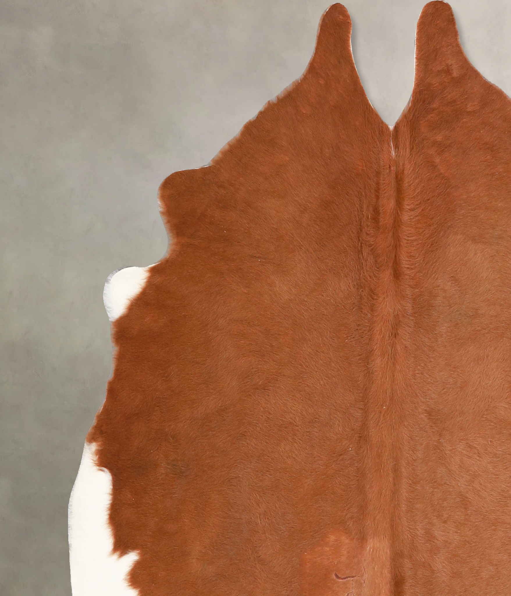 Brown and White Regular Cowhide Rug #A34676