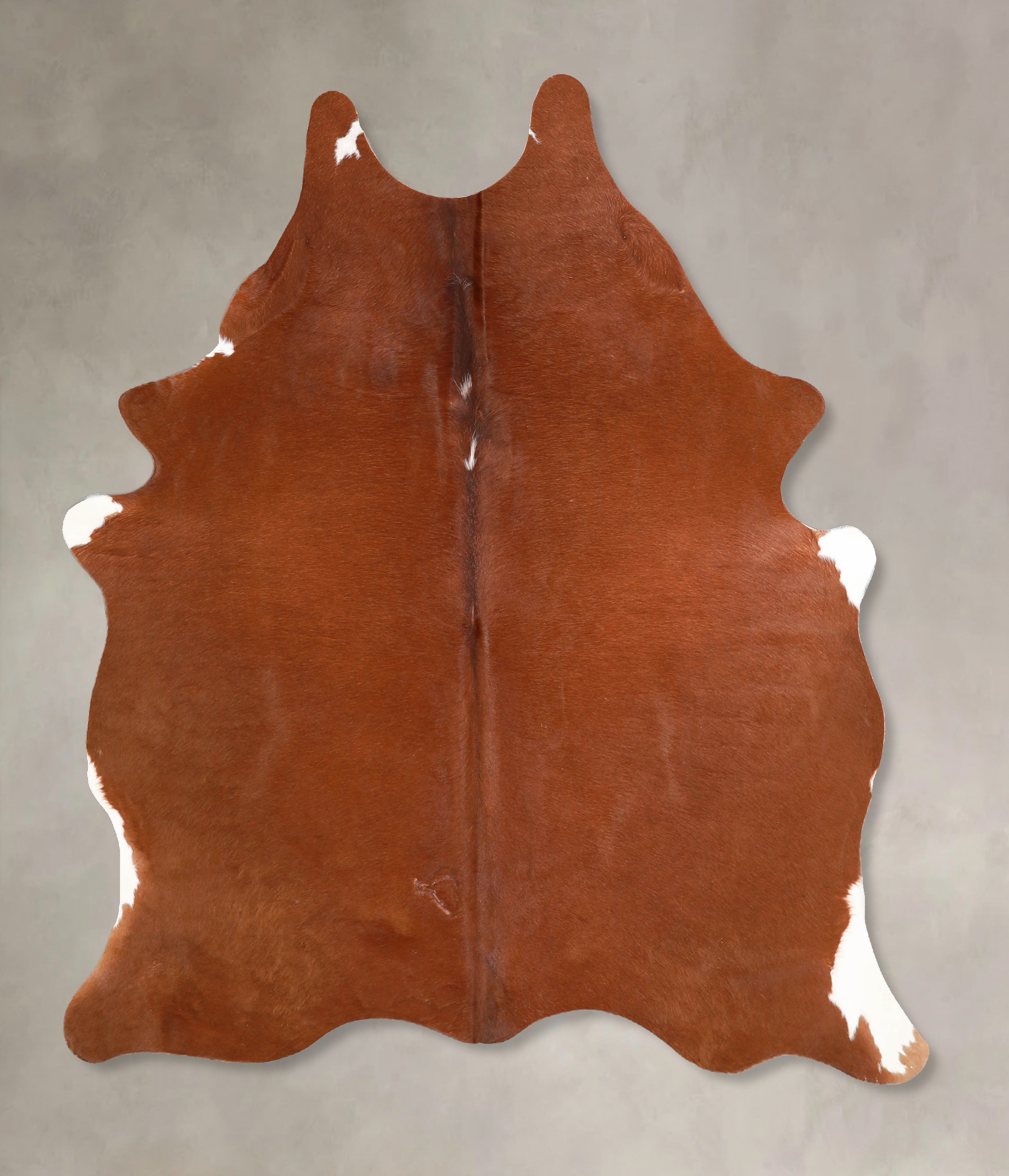 Solid Brown Cowhide Rug #A34687