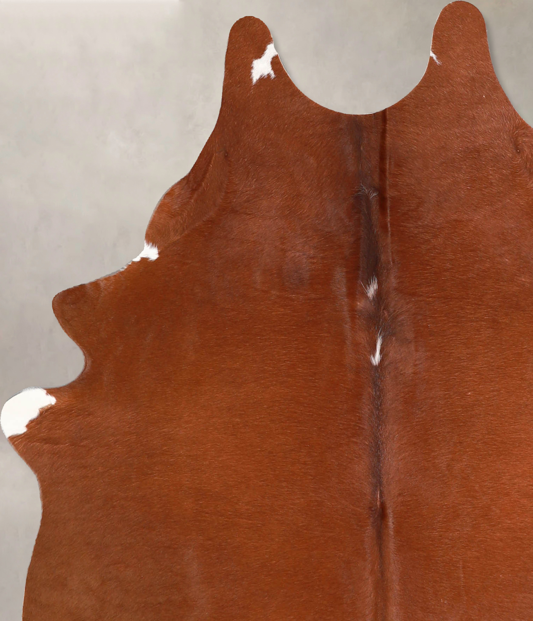 Solid Brown Cowhide Rug #A34687