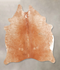 Light Caramel Medium Brazilian Cowhide Rug 4'7