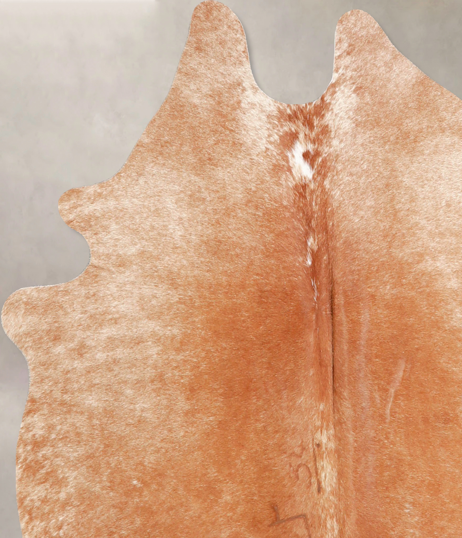 Light Caramel Cowhide Rug #A34694