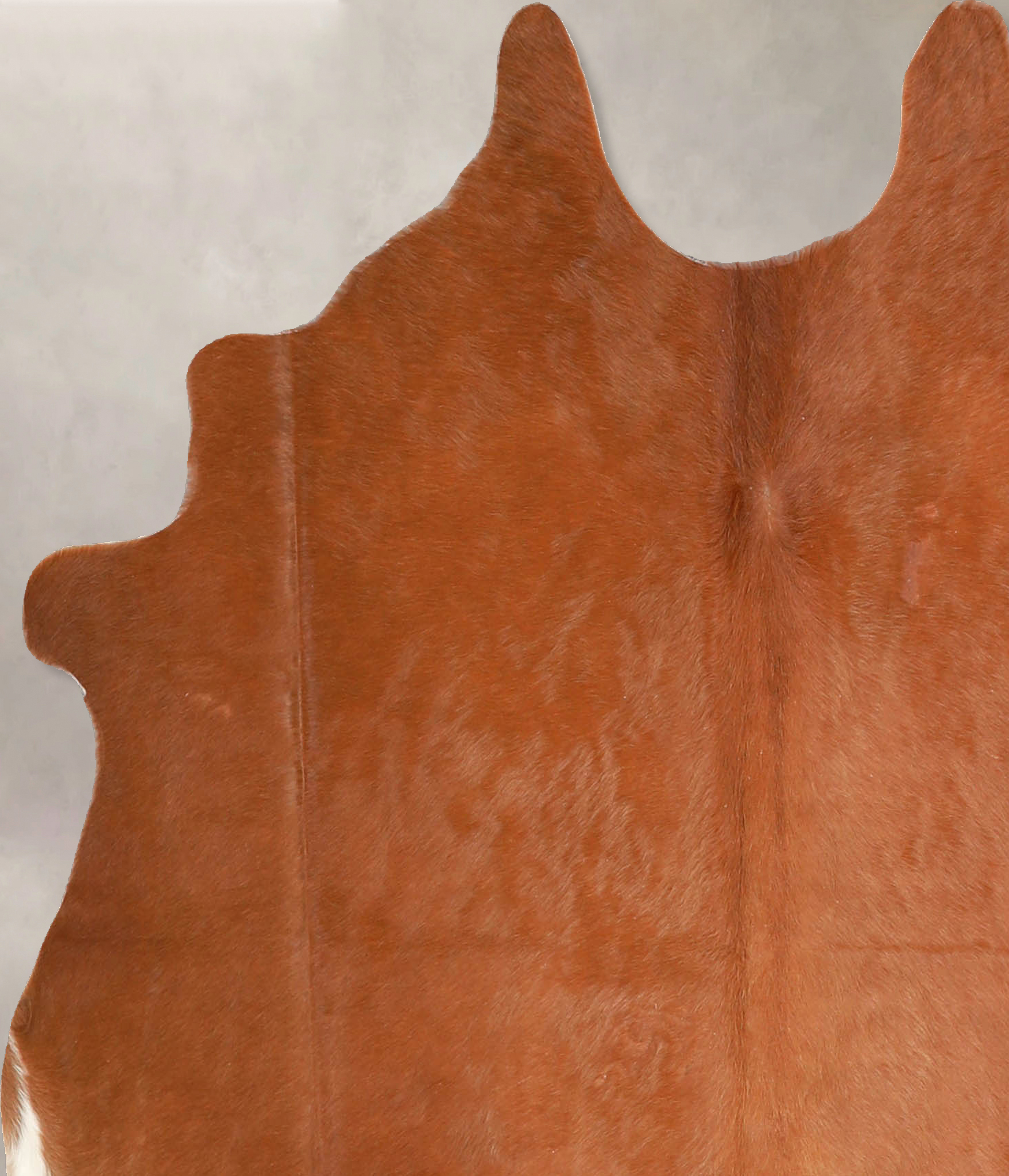 Solid Brown Cowhide Rug #A34702