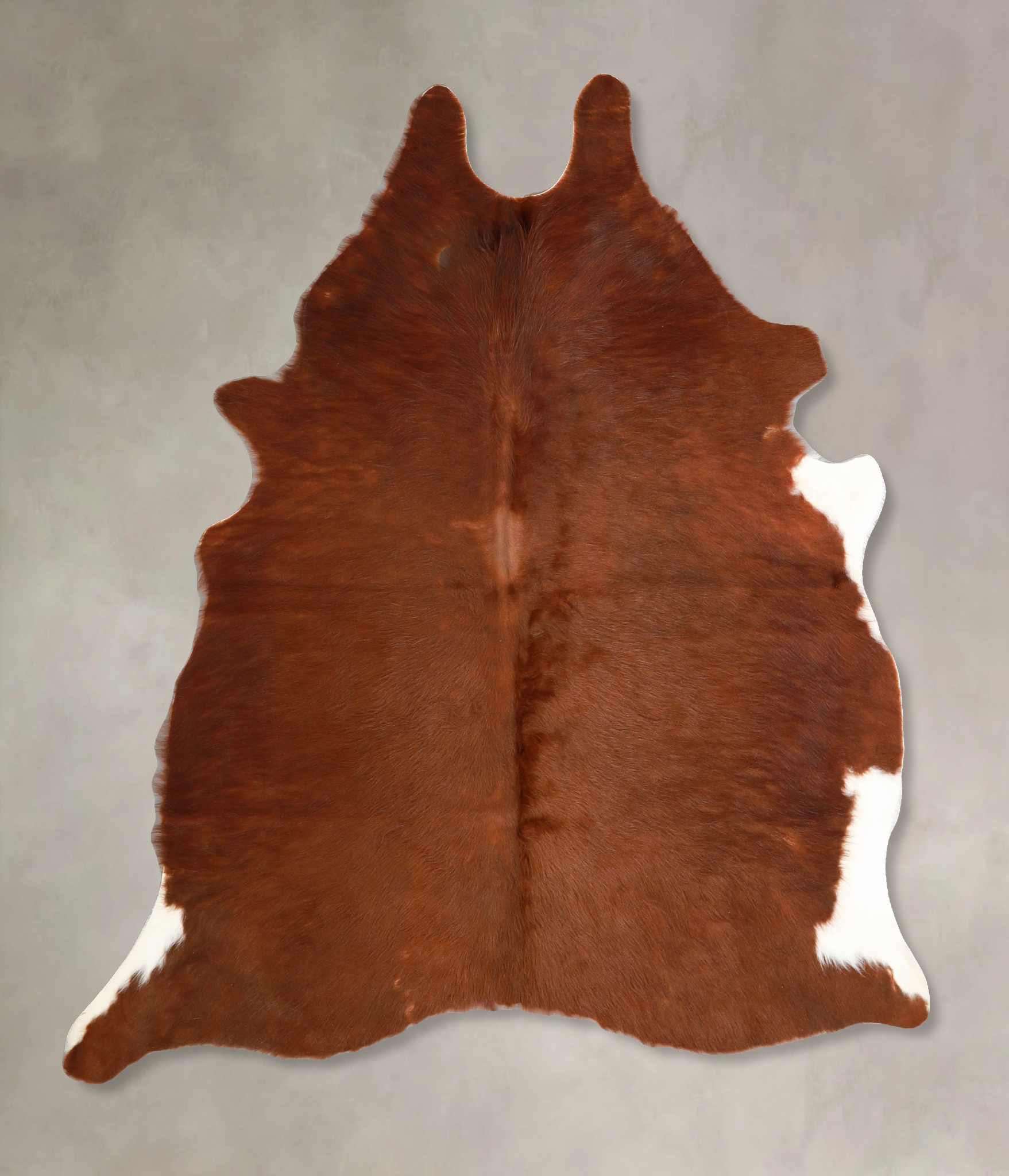 Brown and White Regular Cowhide Rug #A34721