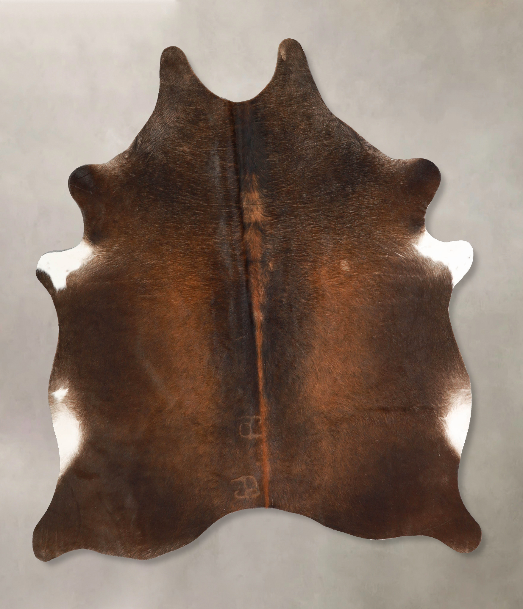 Chocolate Cowhide Rug #A34745