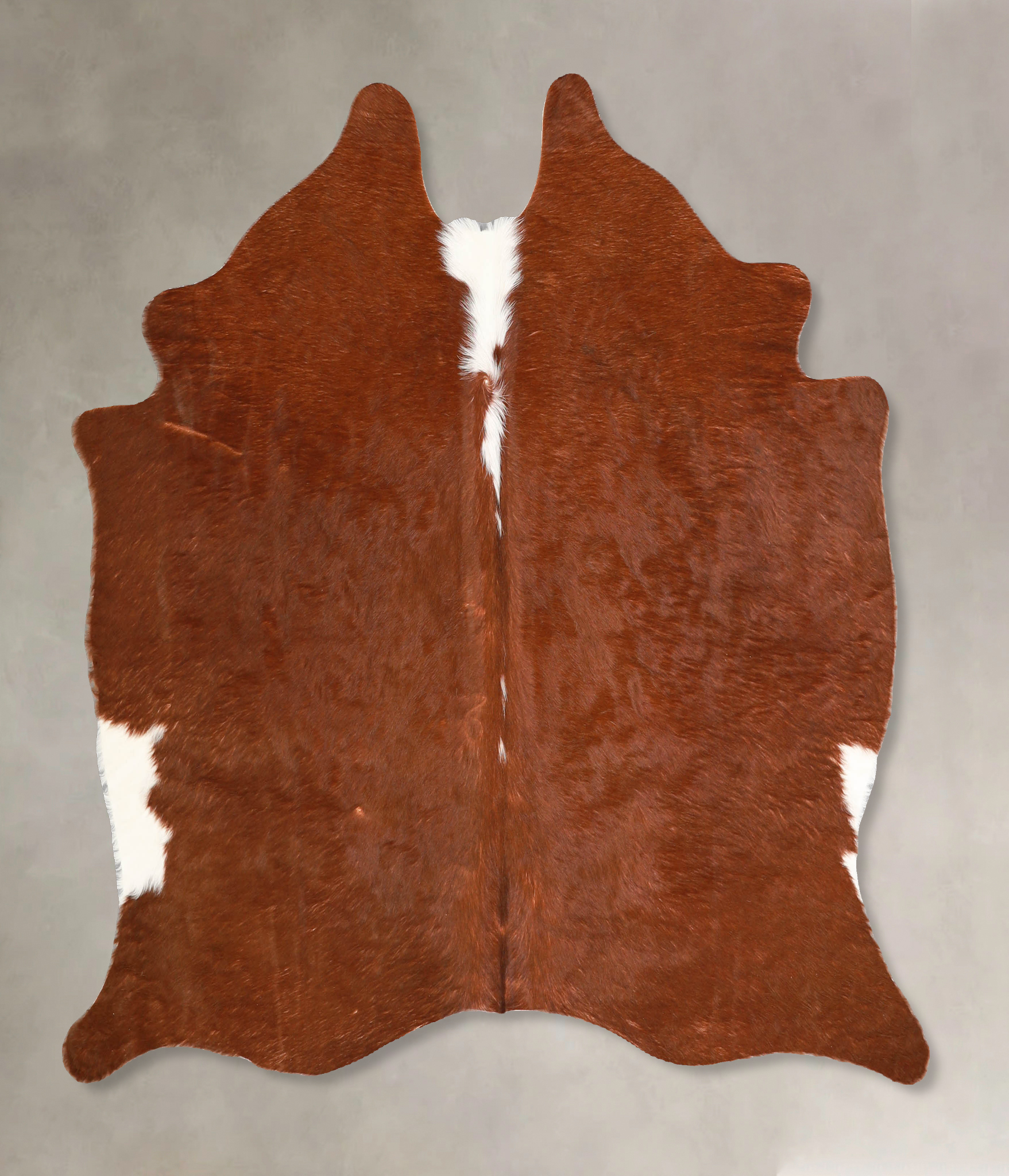 Brown and White Regular Cowhide Rug #A34767